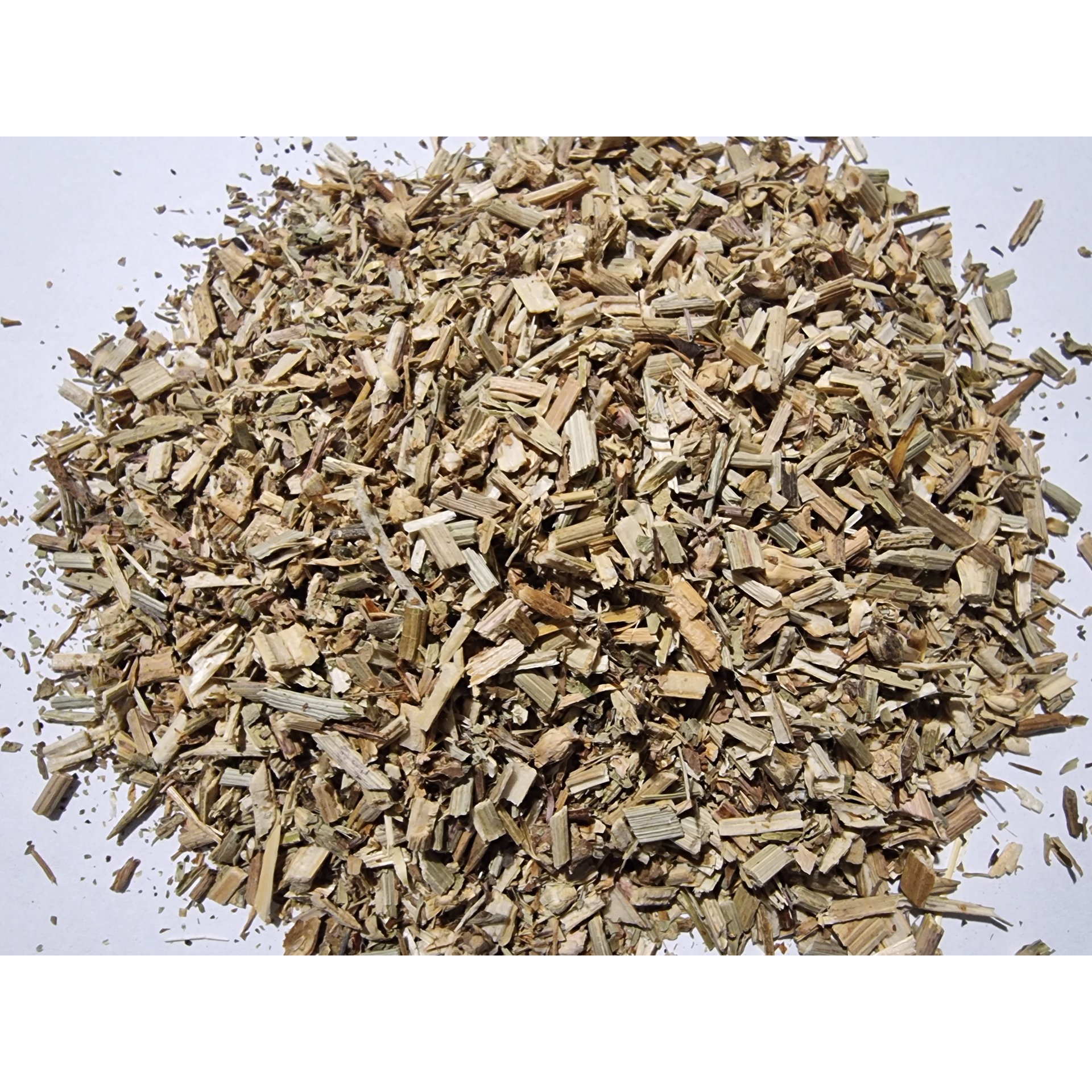 CHICORY Herb