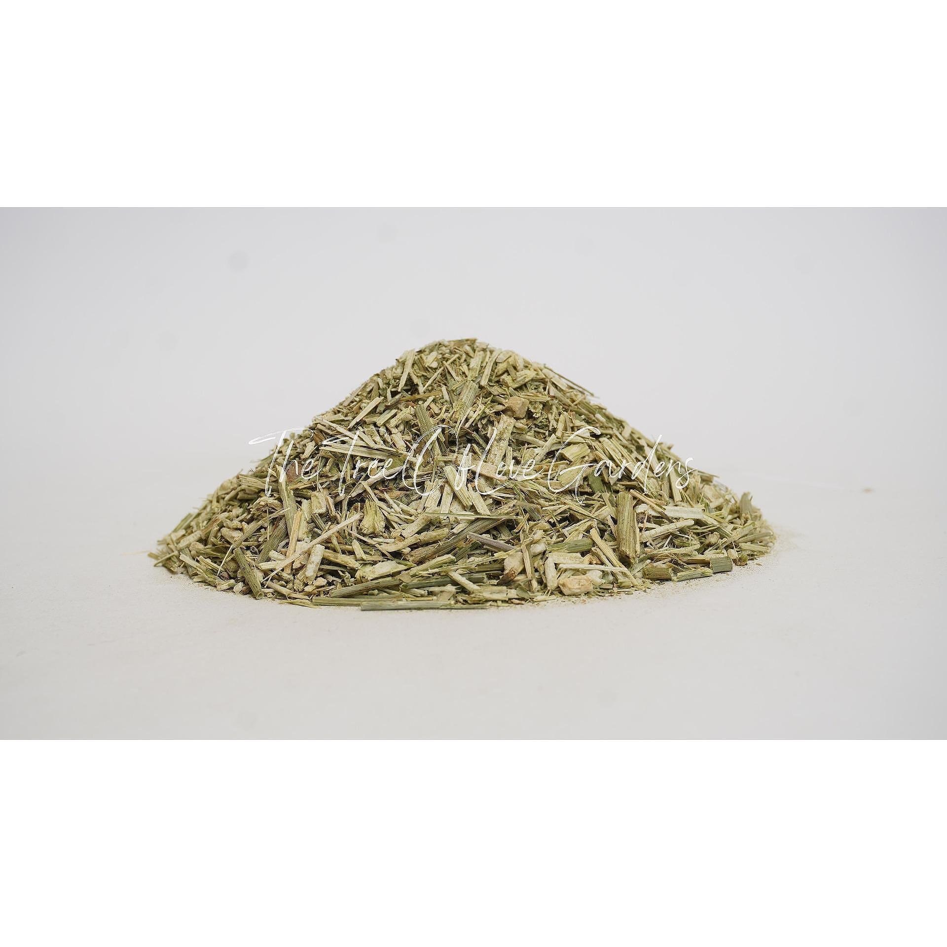CHICORY Herb