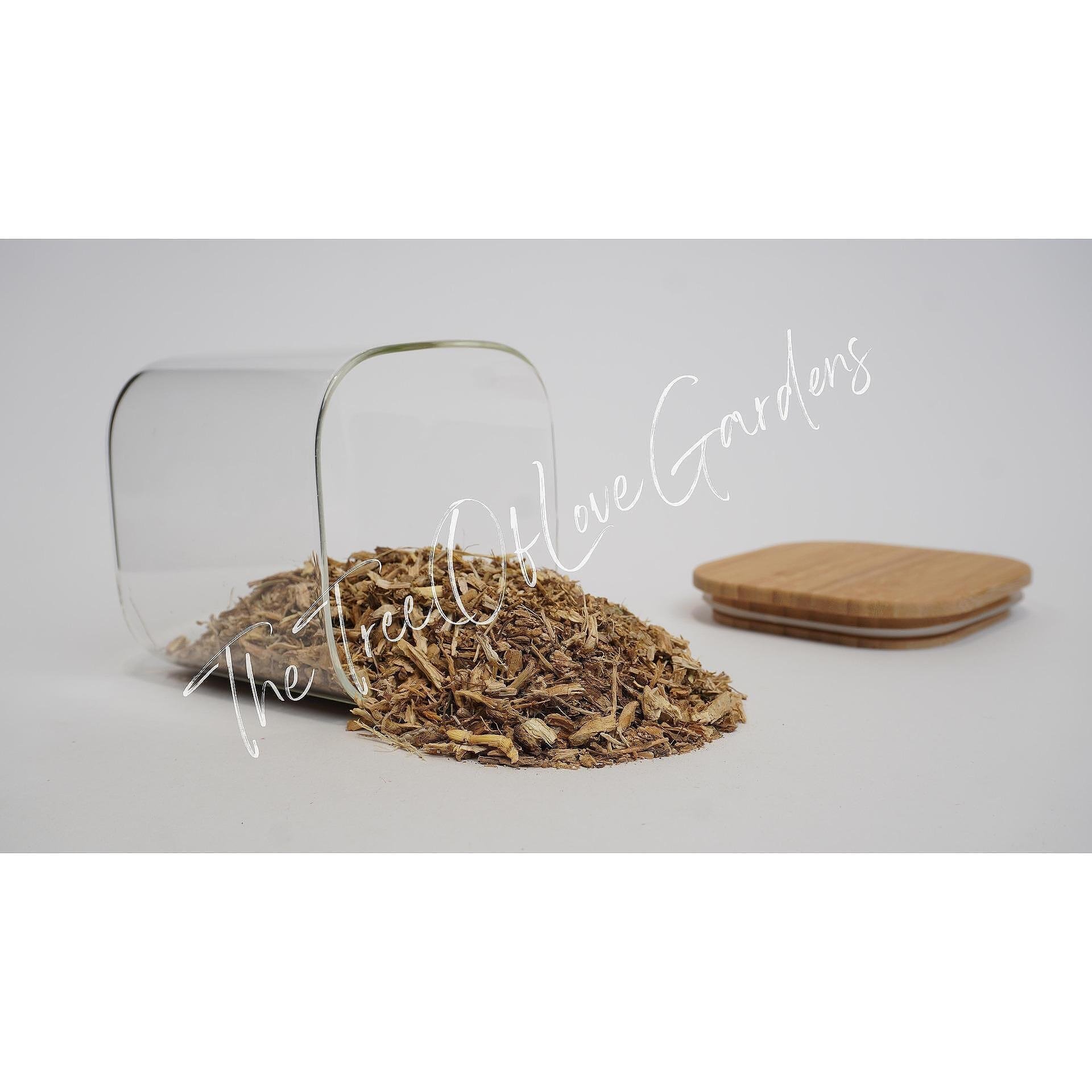 Chicory Root