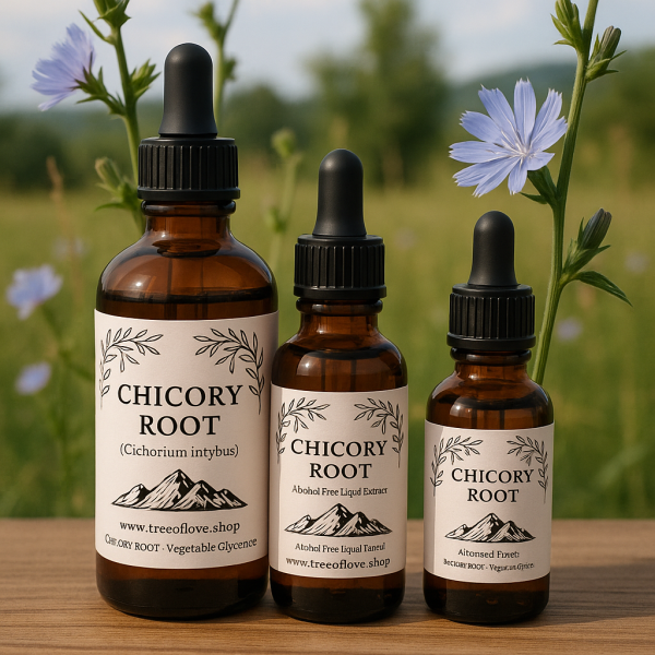 Chicory Root Glycerite