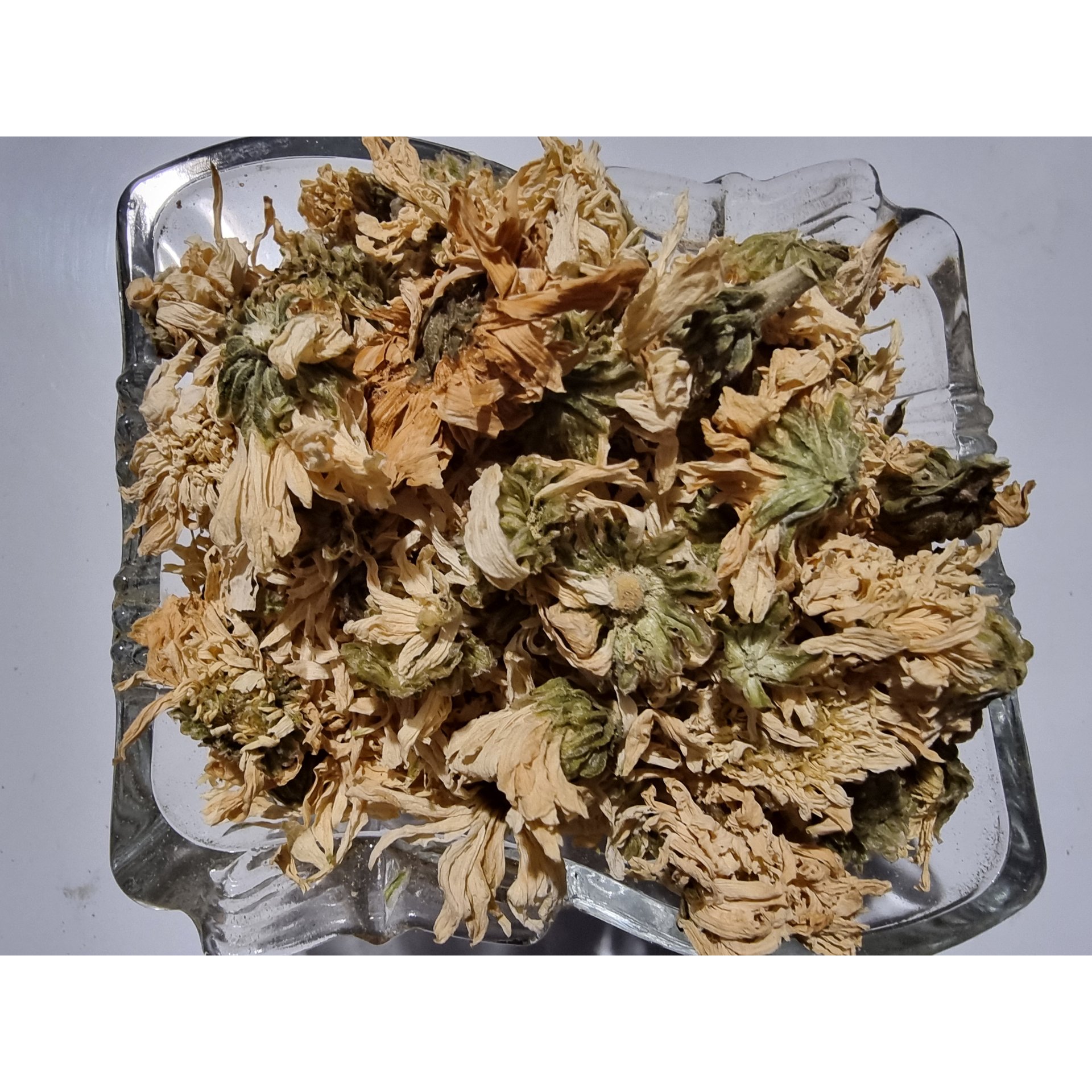 Chrysanthemum Flower