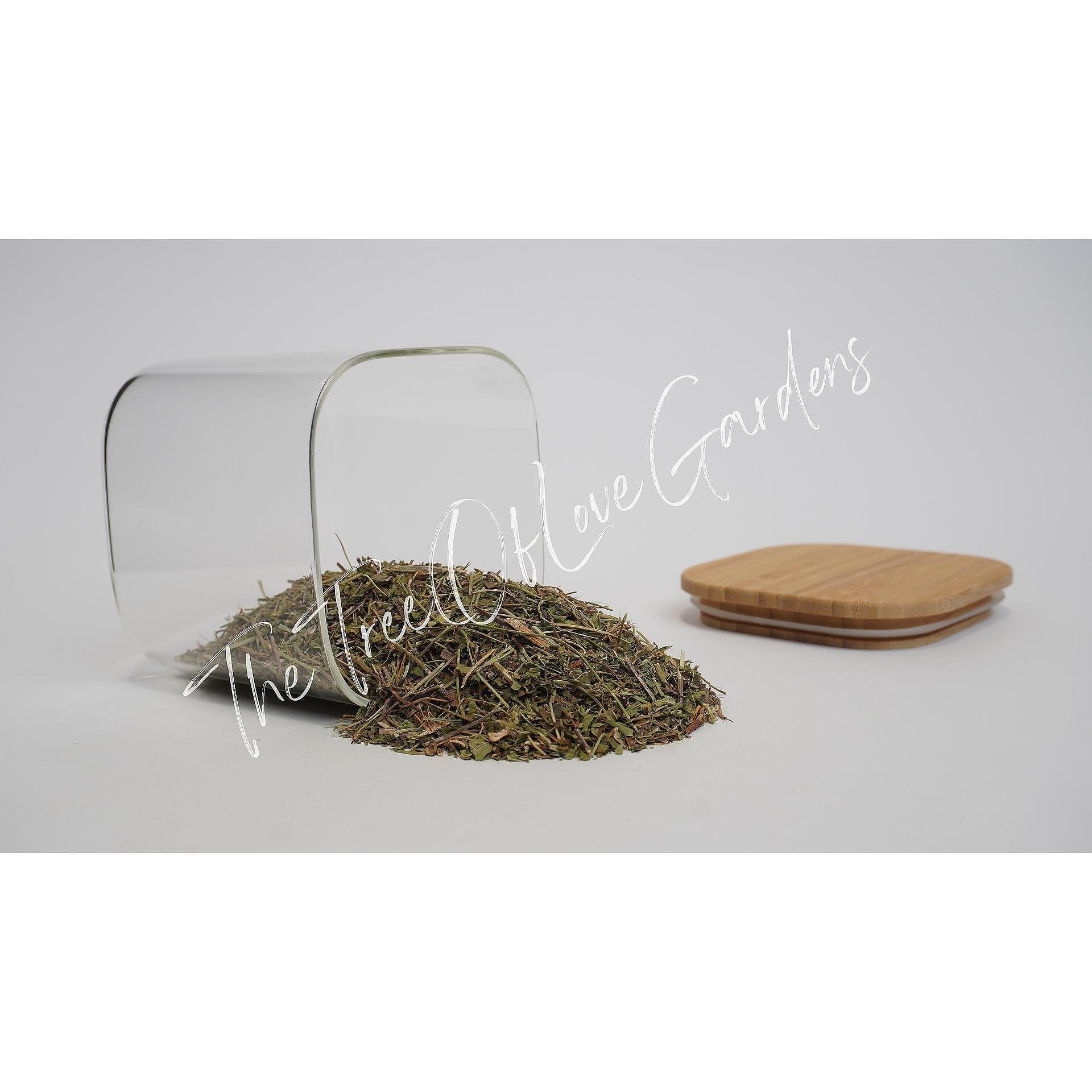 Cinquefoil Herb