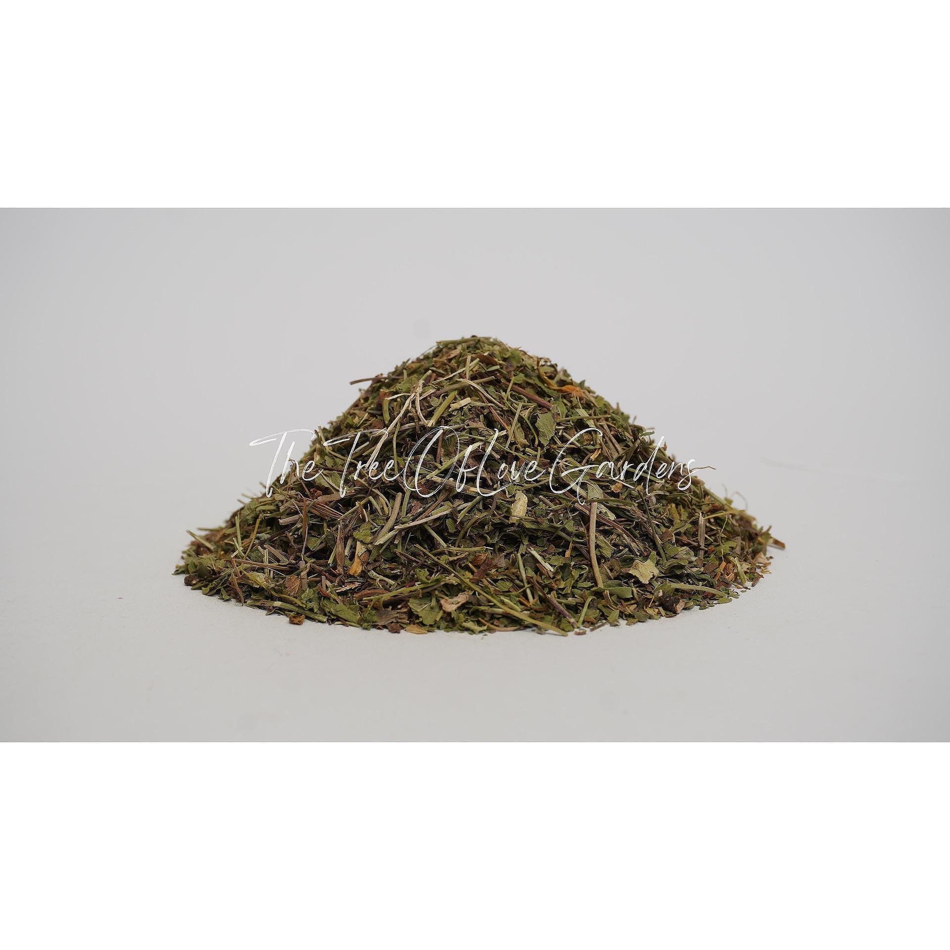 Cinquefoil Herb