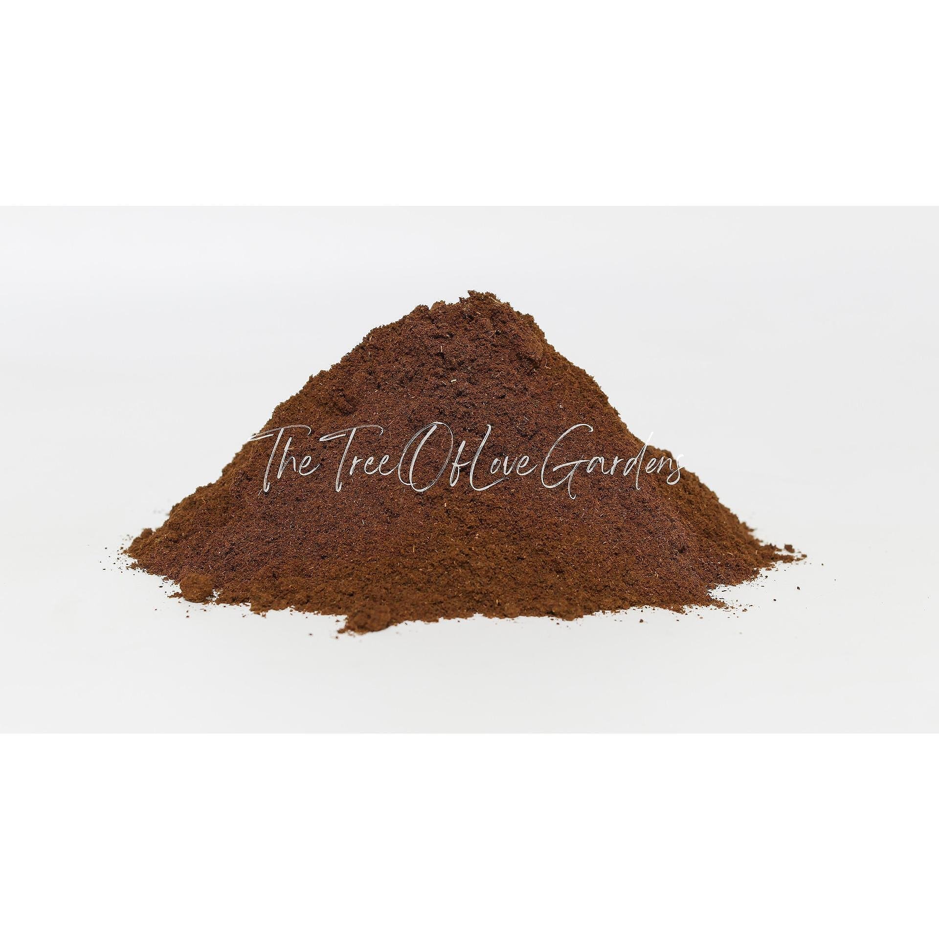 Cloves