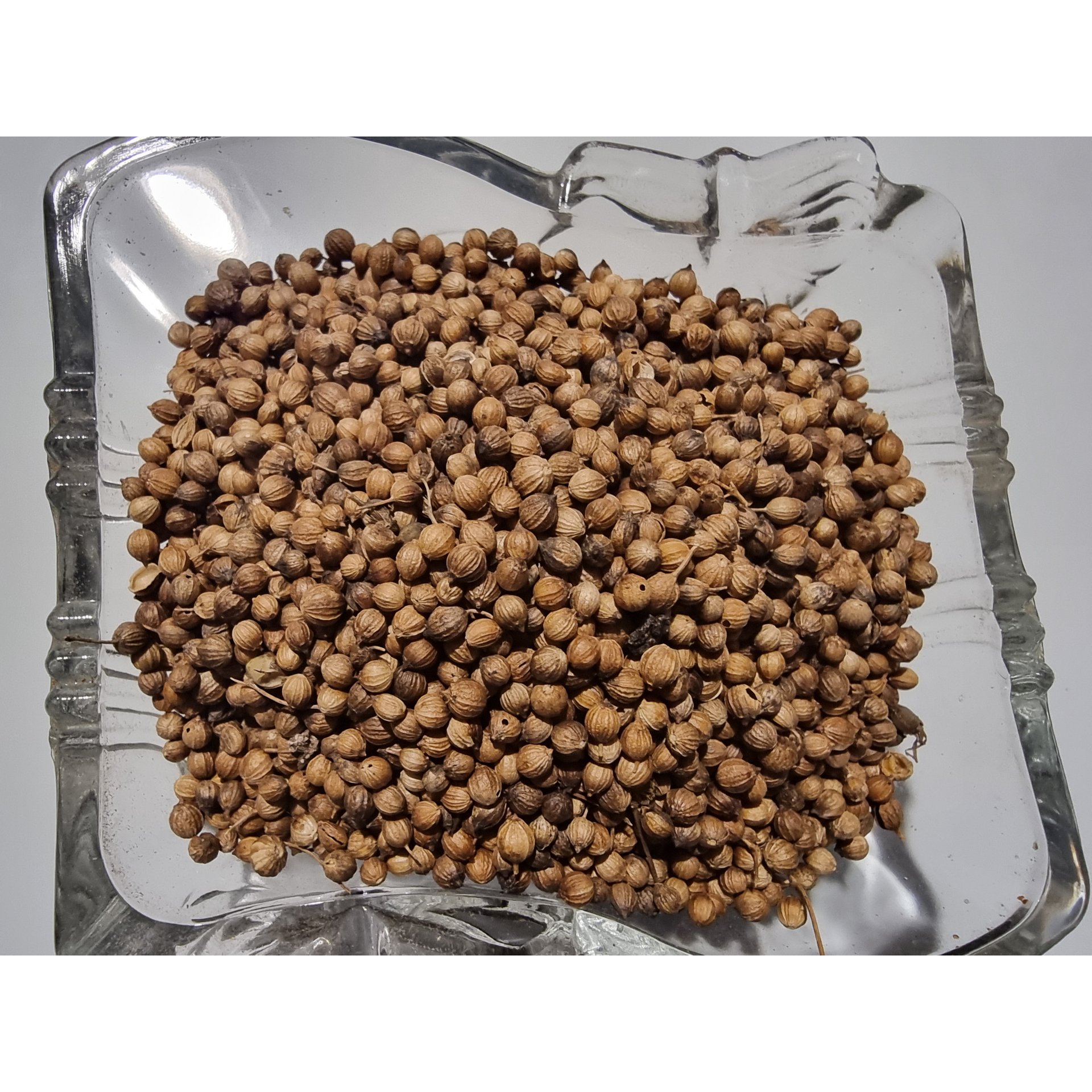 Coriander Seeds