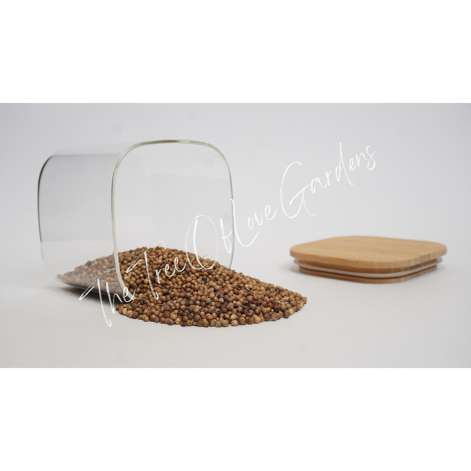 Coriander Seeds