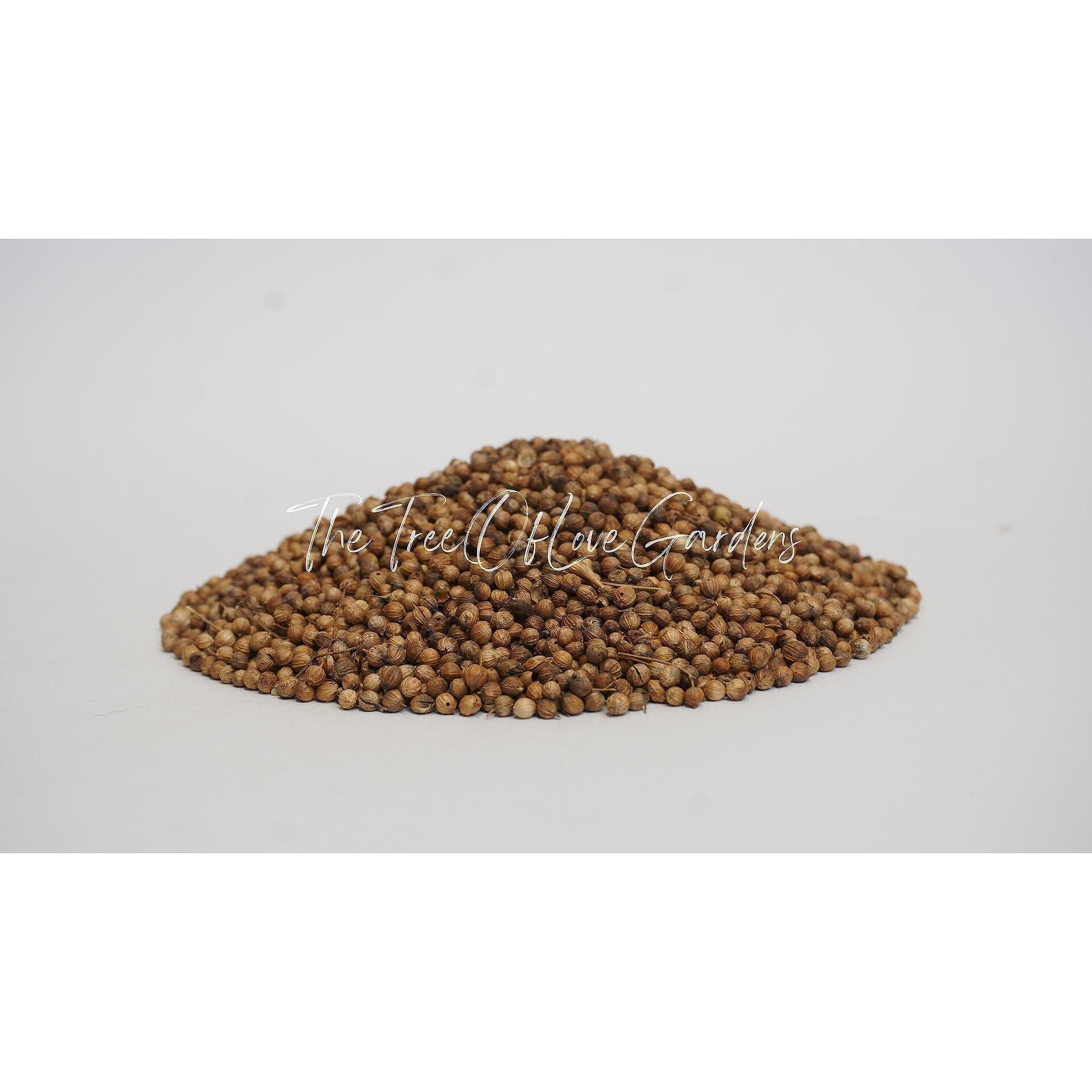 Coriander Seeds