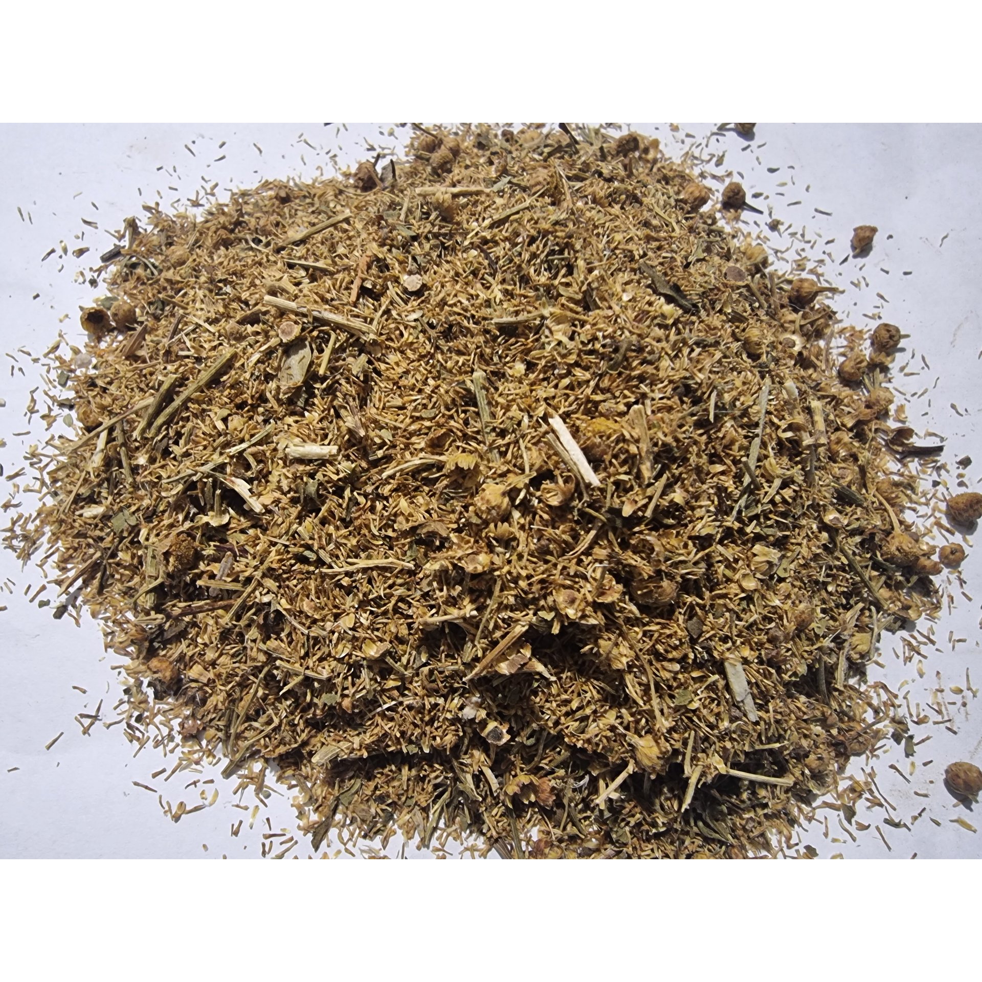 COSTMARY Herb