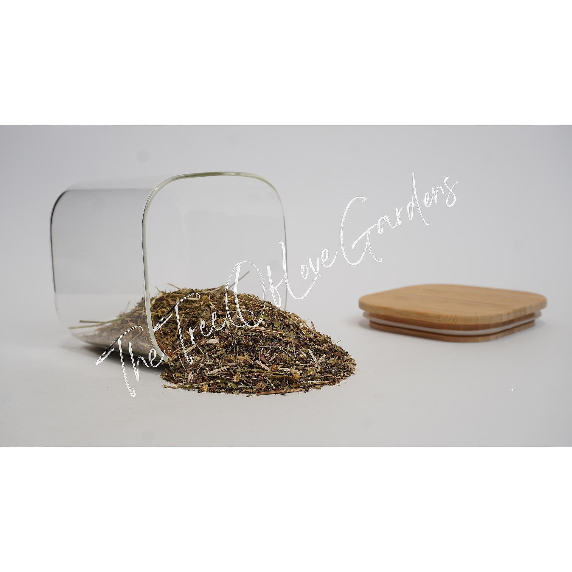 COSTMARY Herb