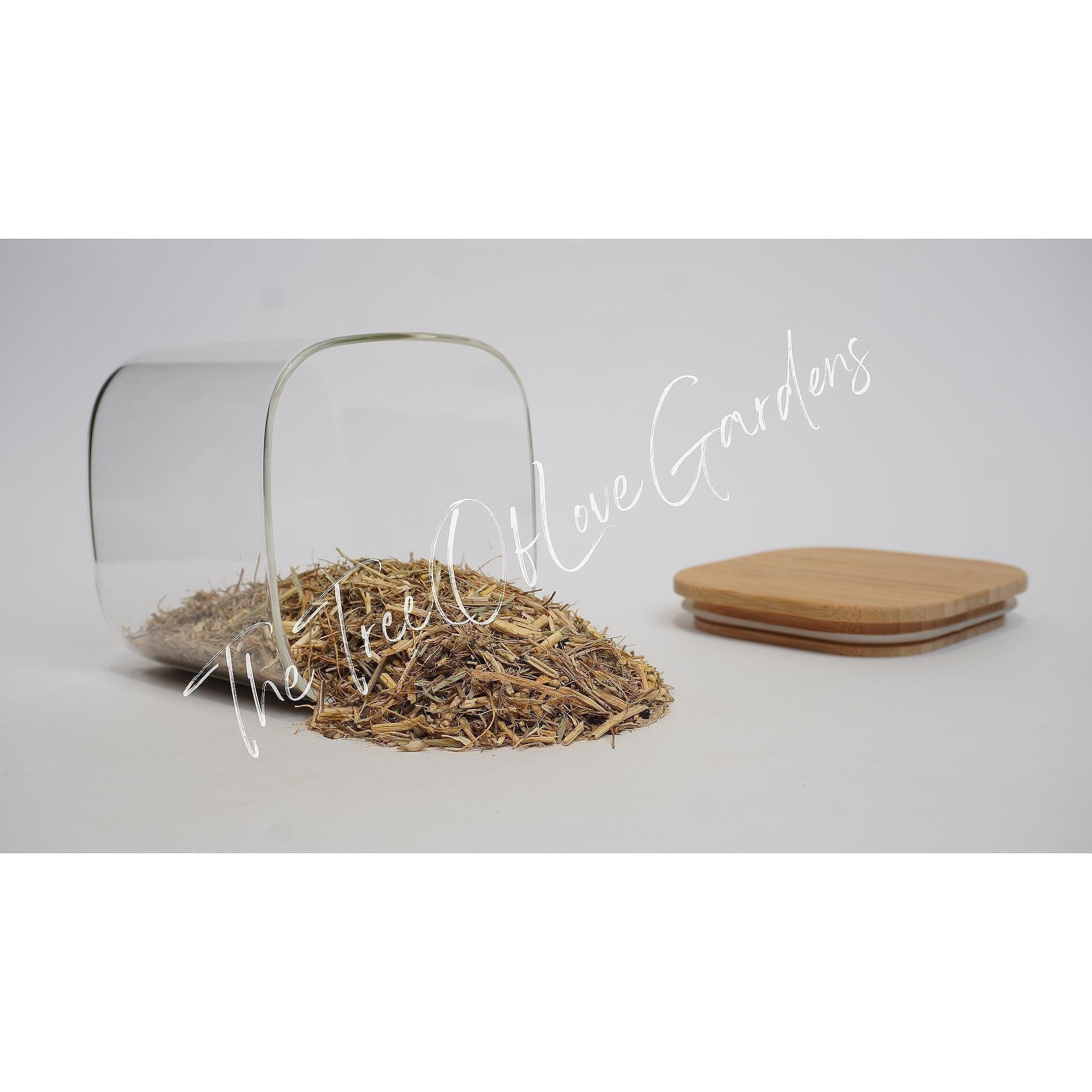 Couch Grass Root