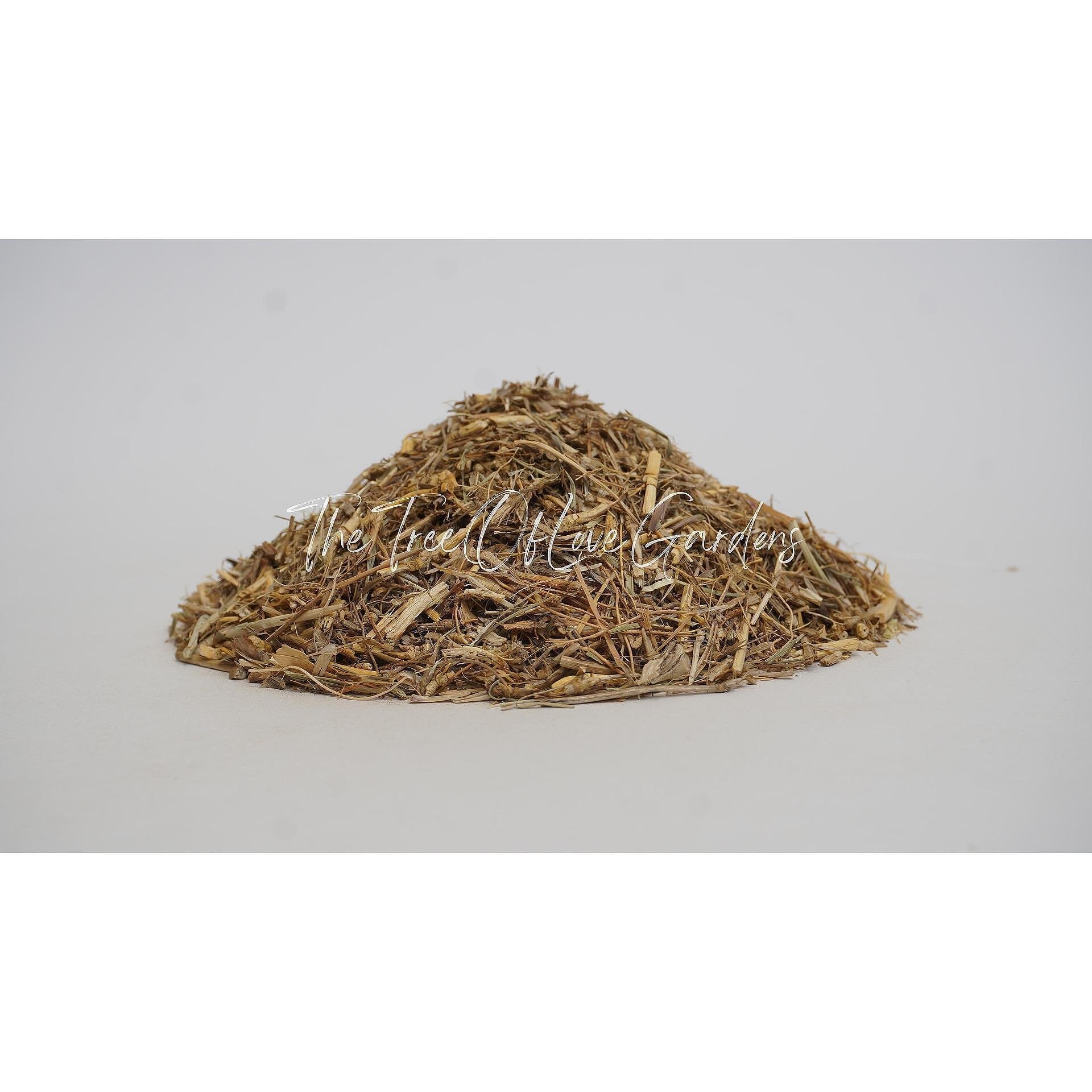 Couch Grass Root