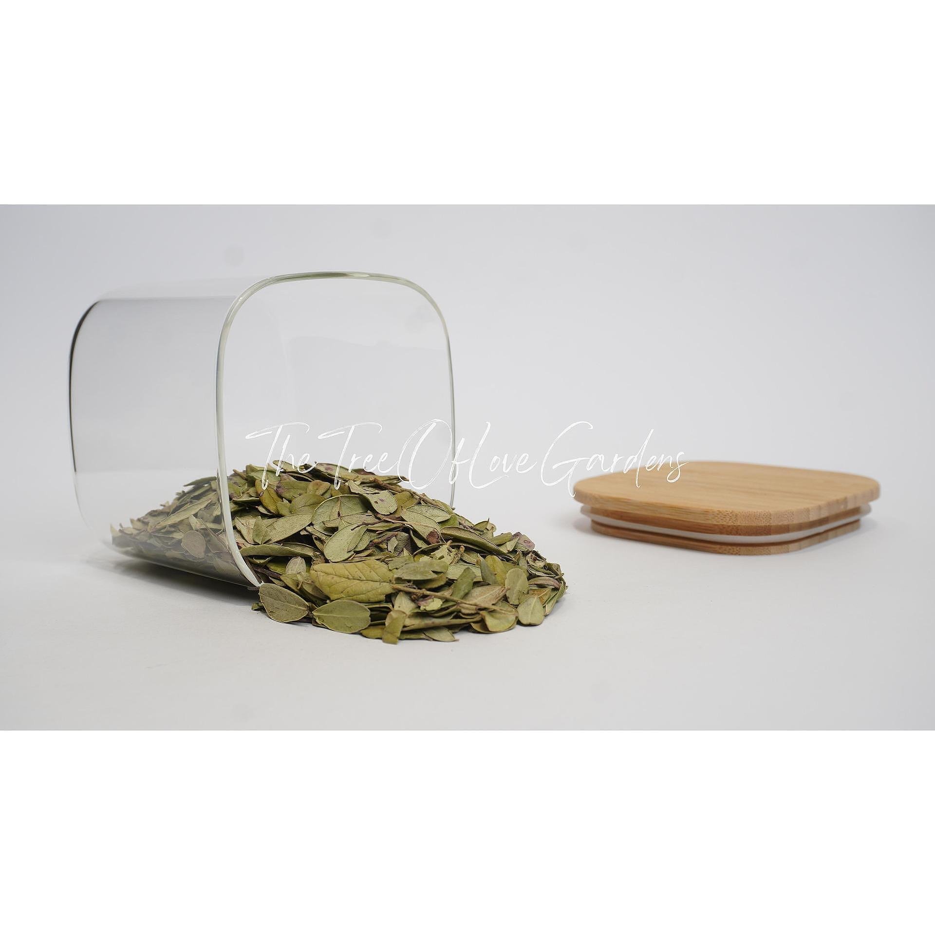 Cowberry Leaf