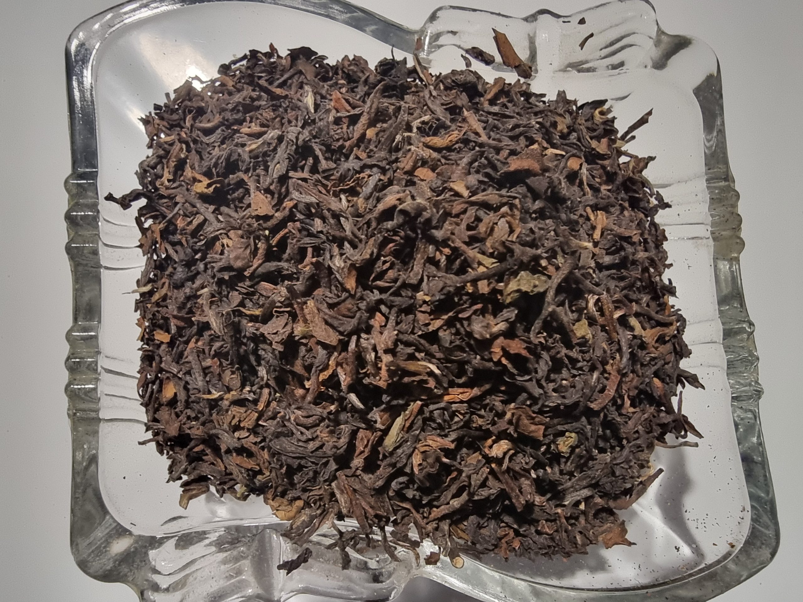 Darjeeling Black Tea - Camellia sinensis
