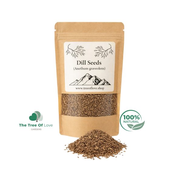 Dill Seeds