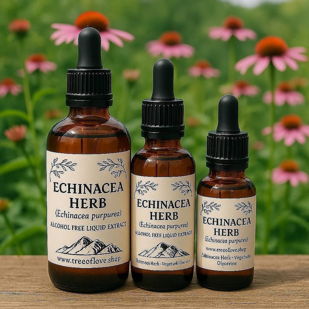 Echinacea Herb Glycerite
