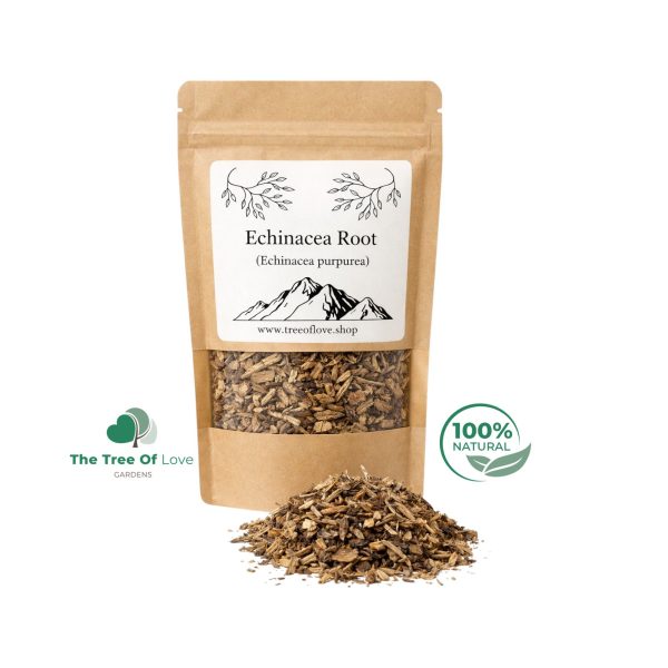 Echinacea Root