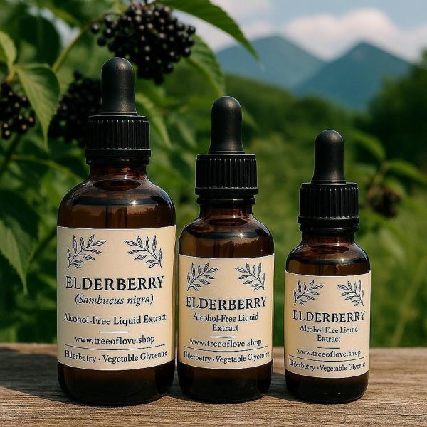 Elderberry Glycerite