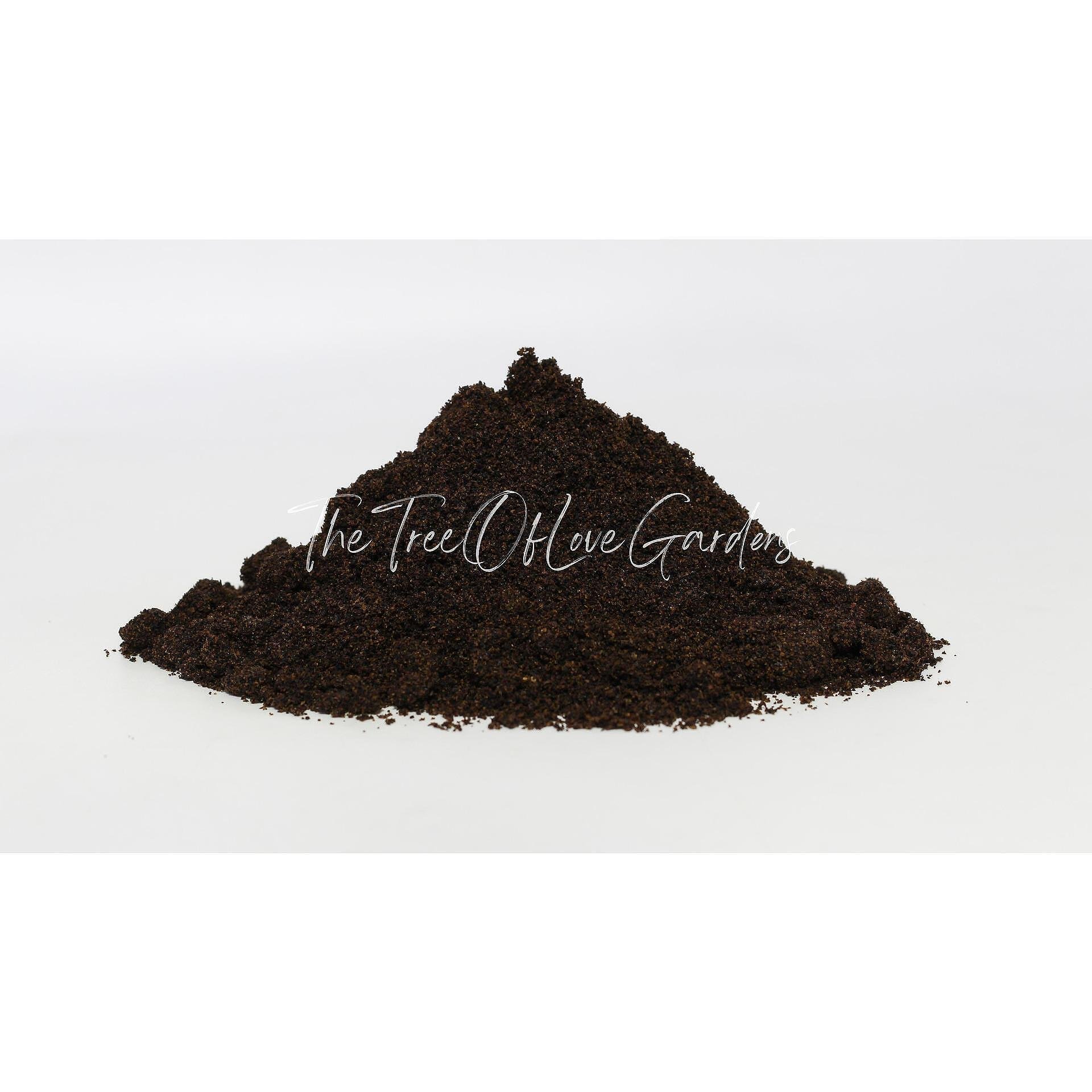 Elderberry Powder or Whole