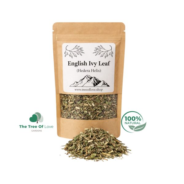 English Ivy Leaf