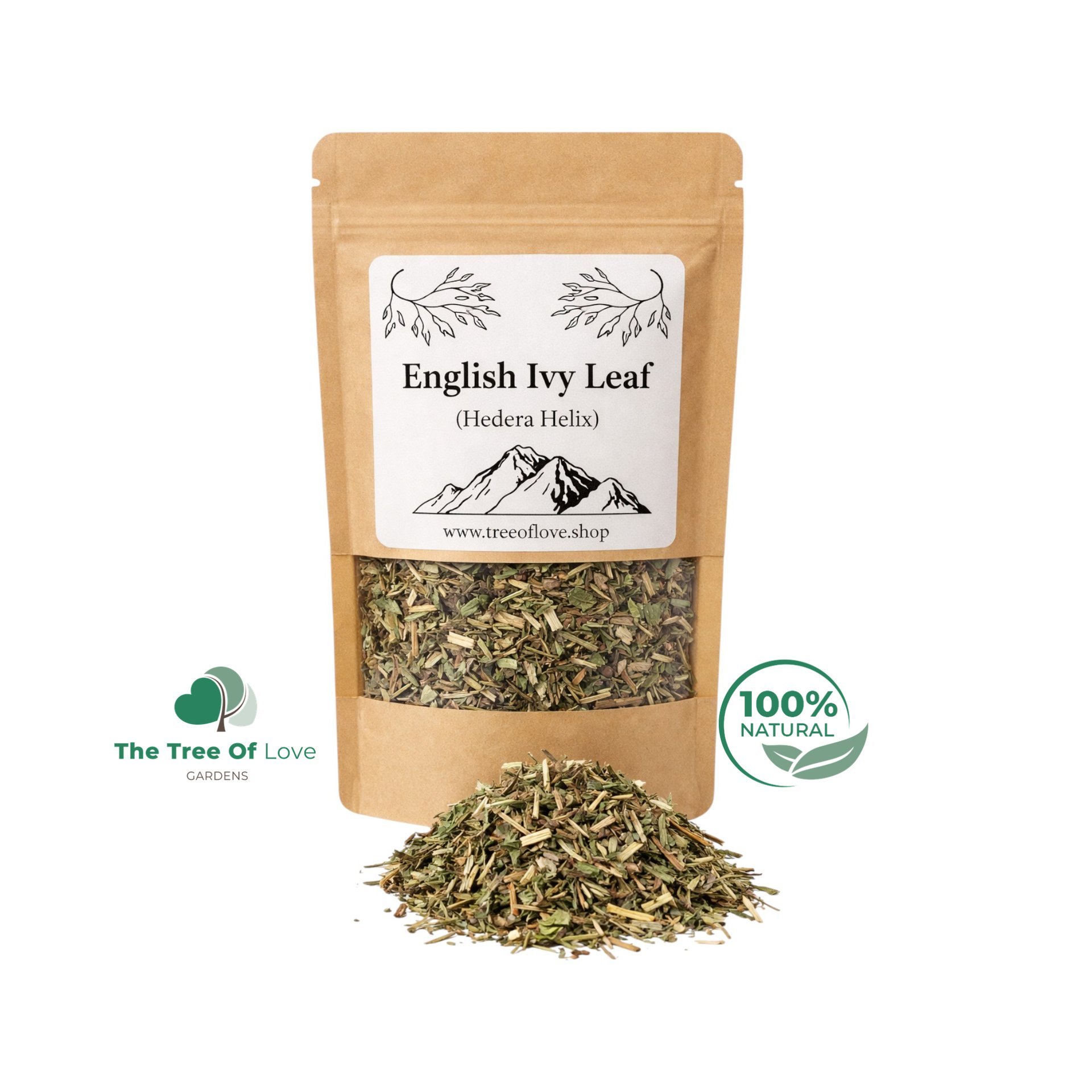 English Ivy Leaf