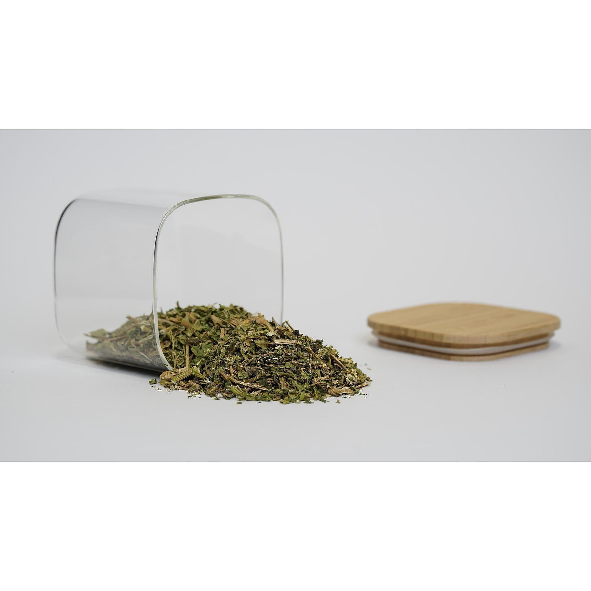 Epazote Herb