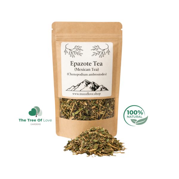 Epazote Herb