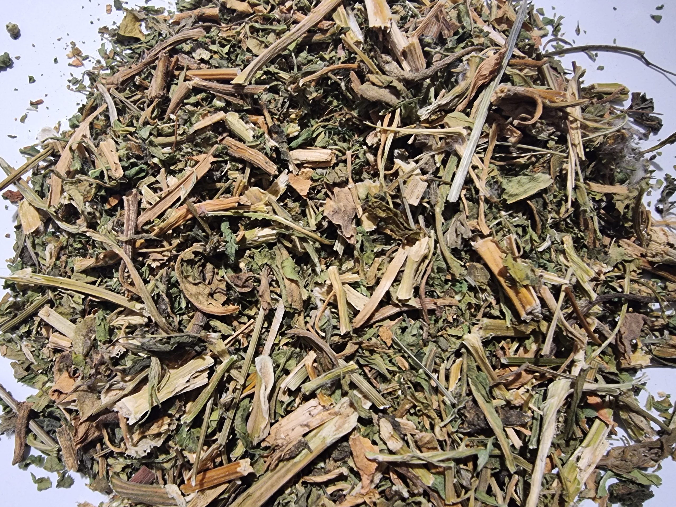 Epazote Herb