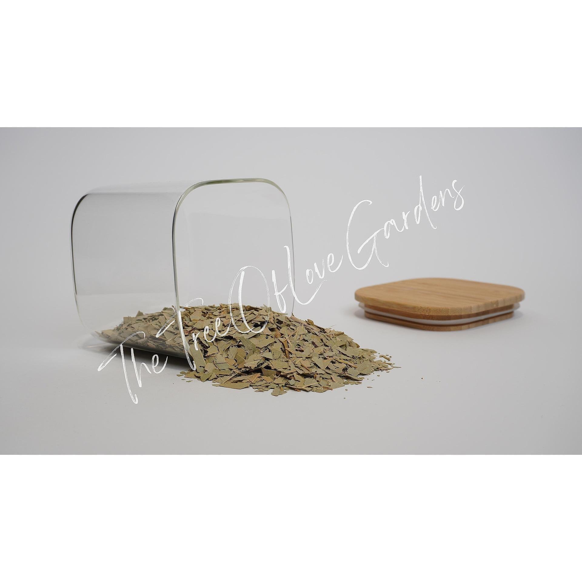 Eucalyptus Leaf