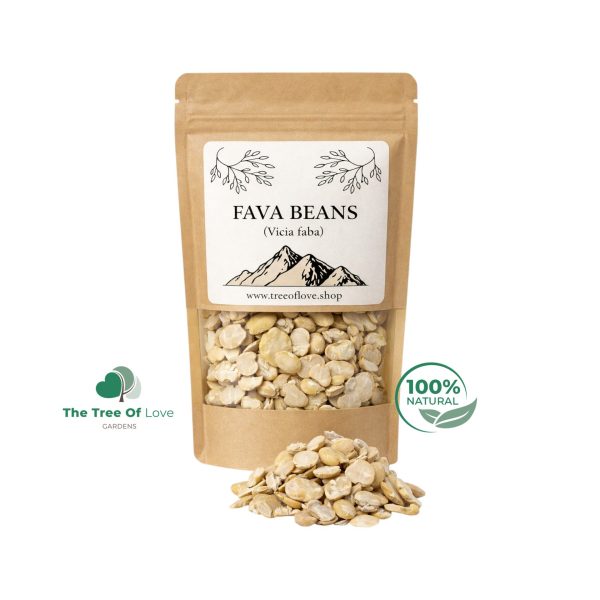 Fava Beans Peeled