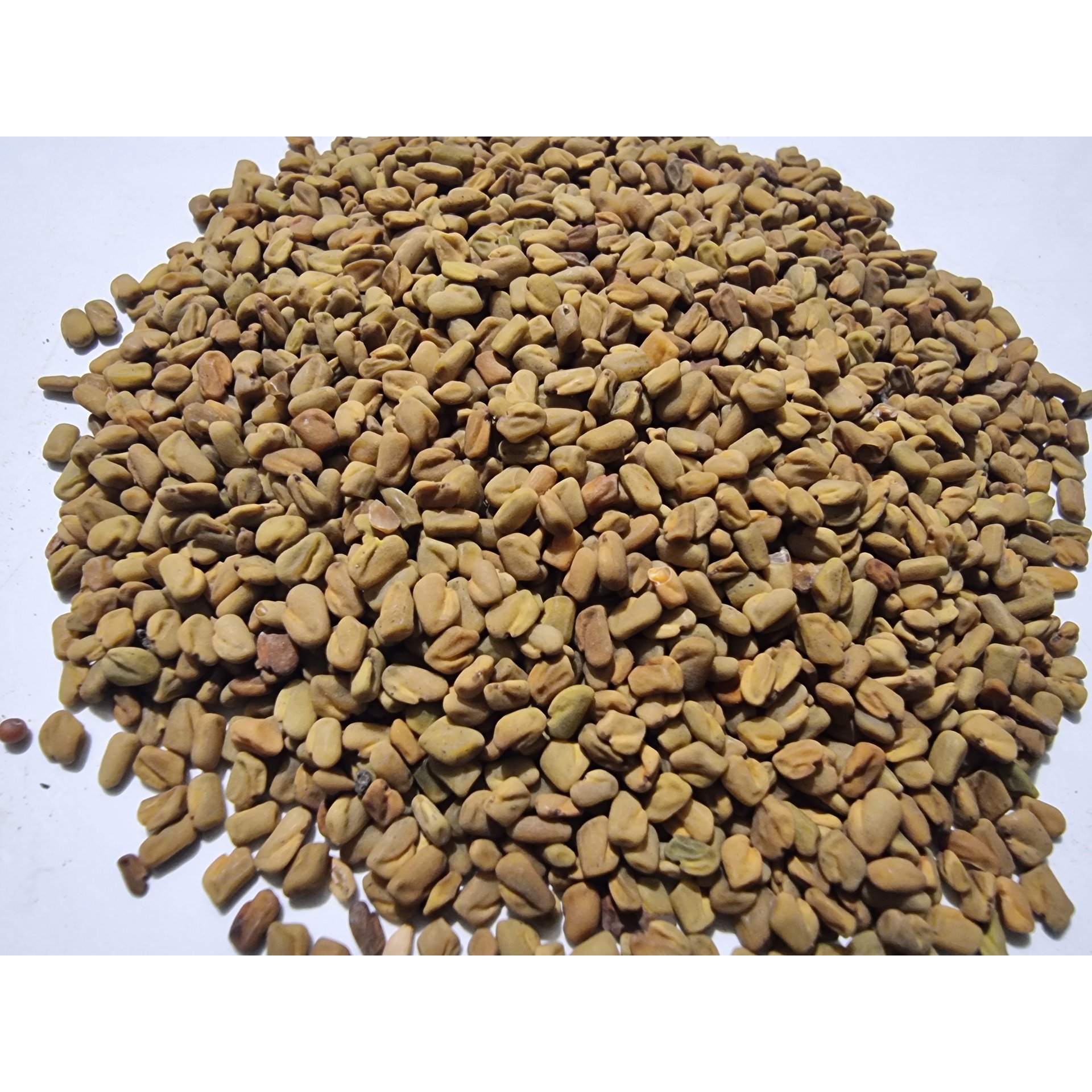 Fenugreek Powder