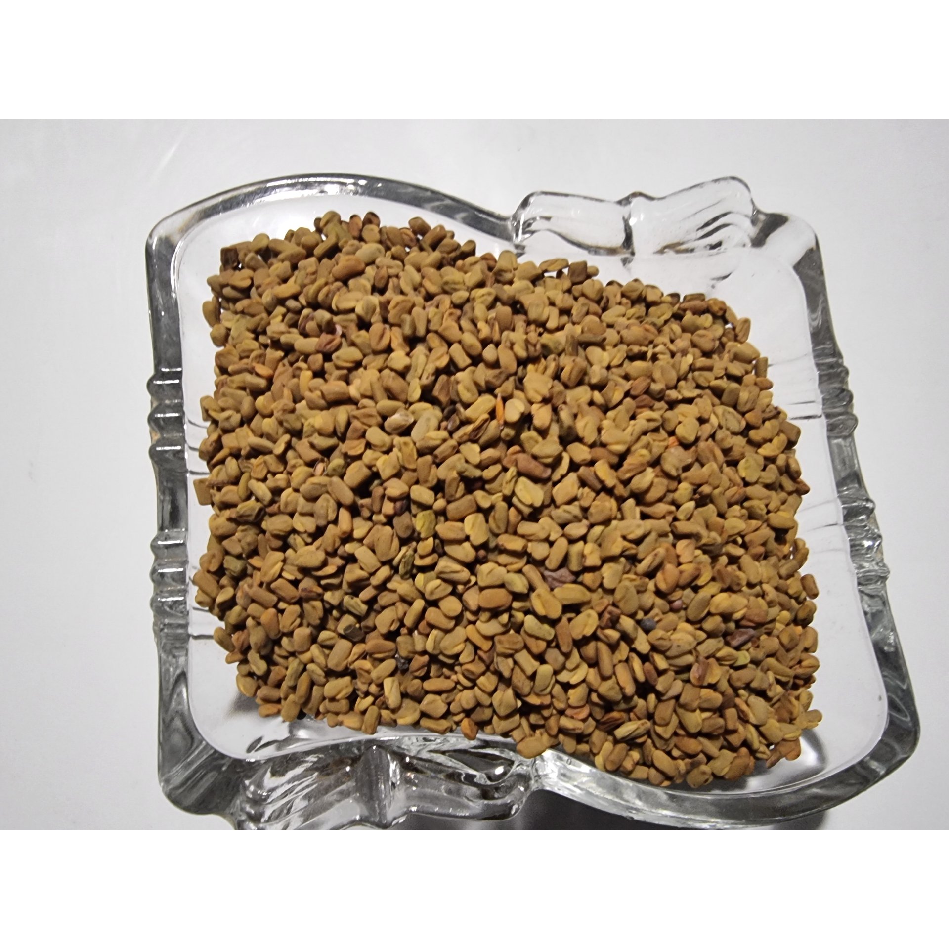 Fenugreek Seed