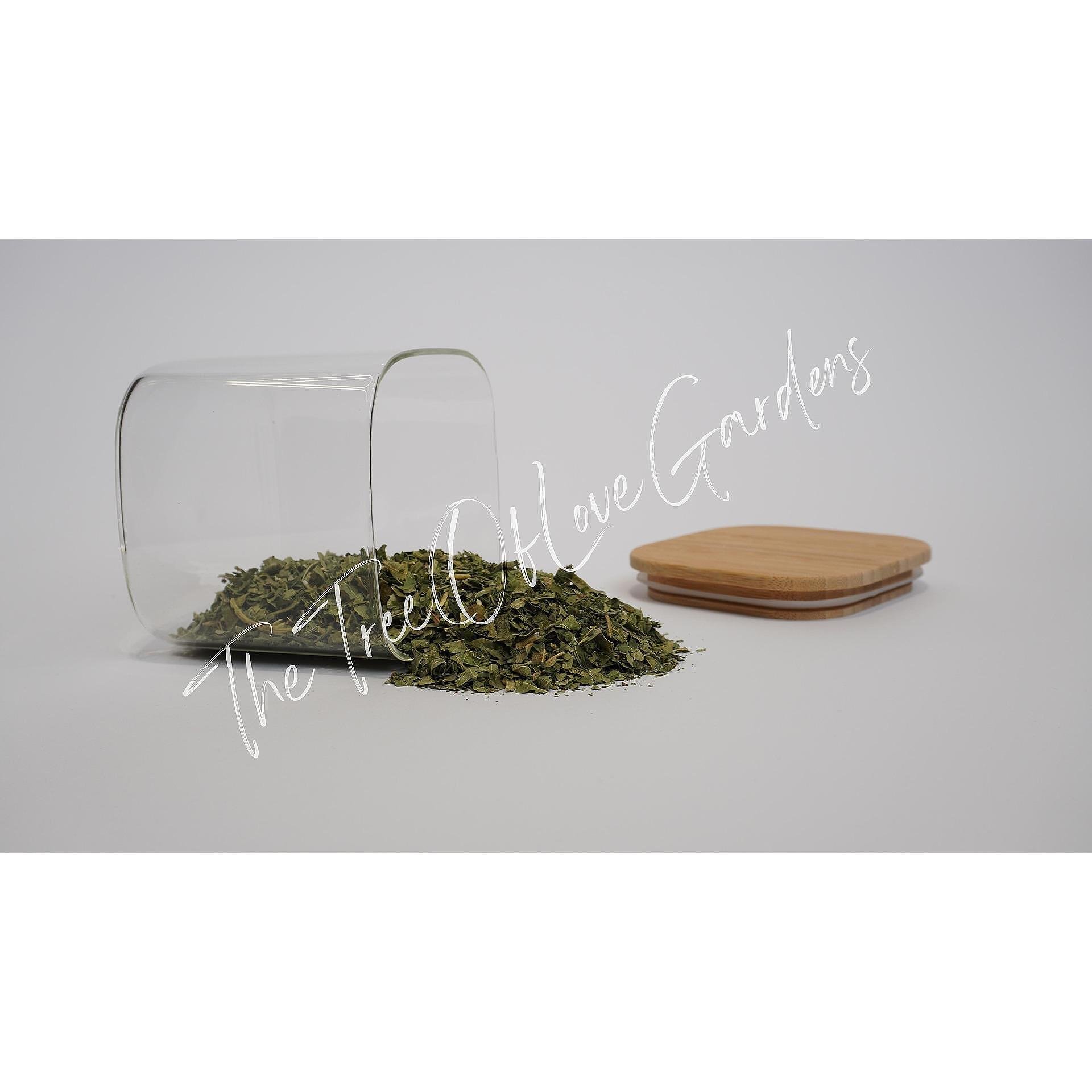 Fig Leaf Herb