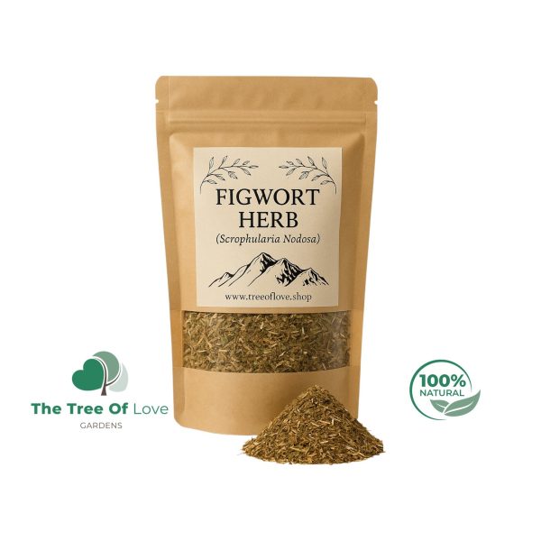 Figwort Herb