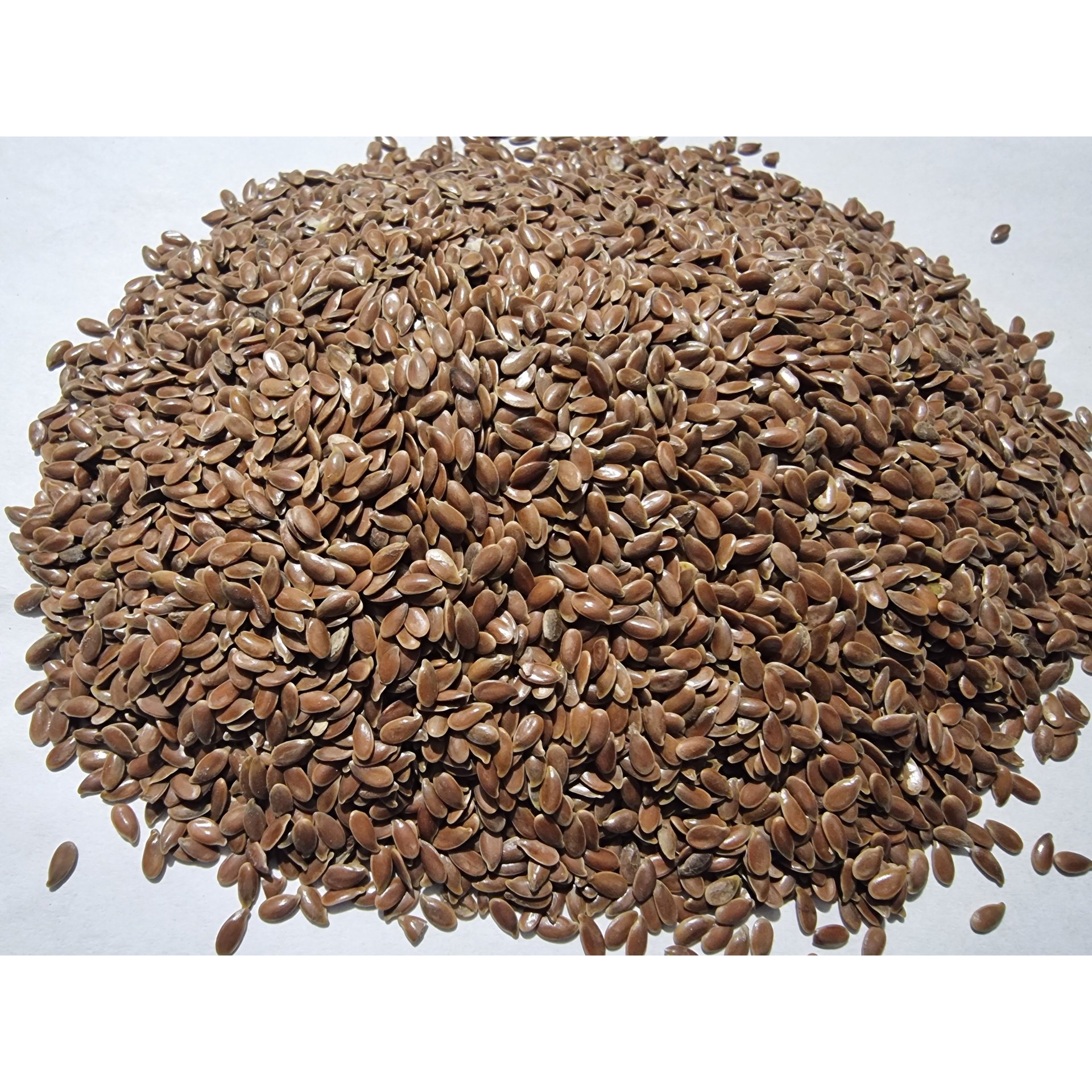 Flax Seeds