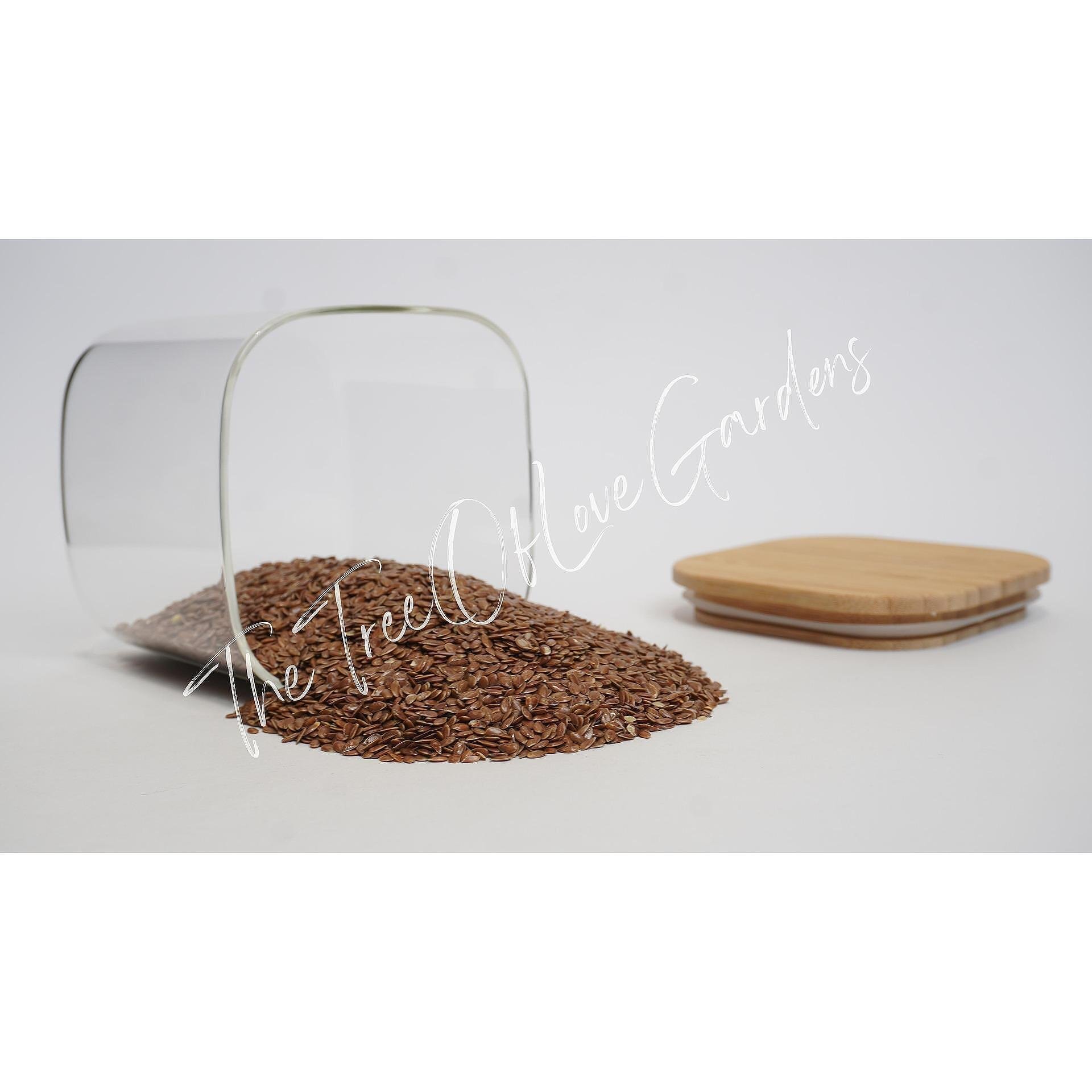 Flax Seeds
