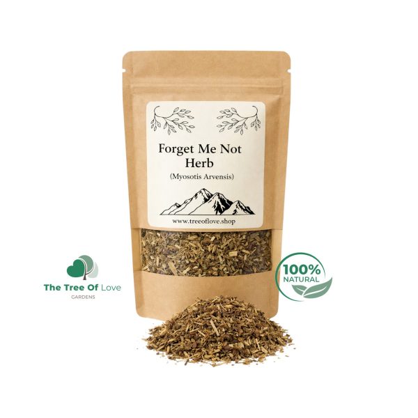Forget Me Not Herb