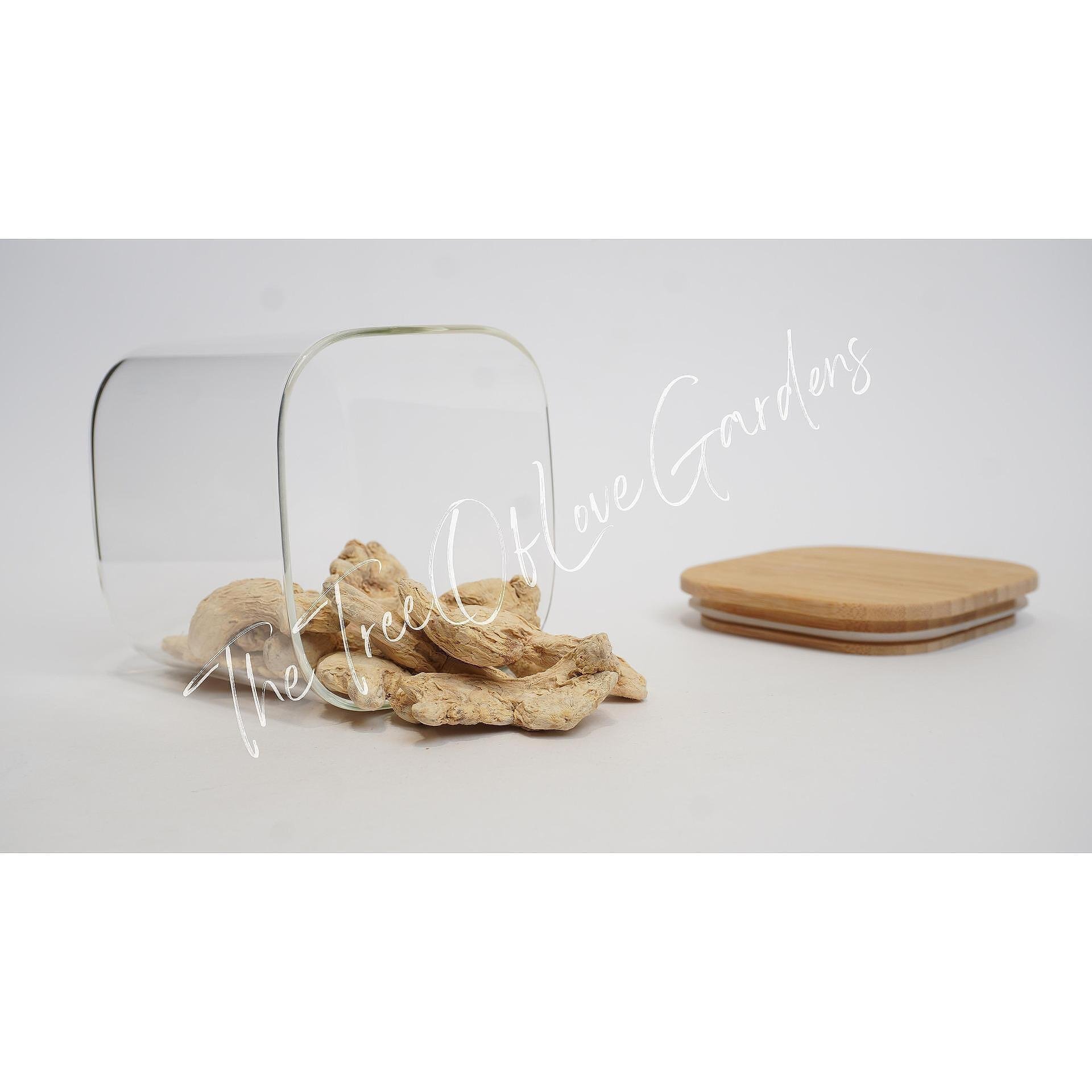 Ginger Root