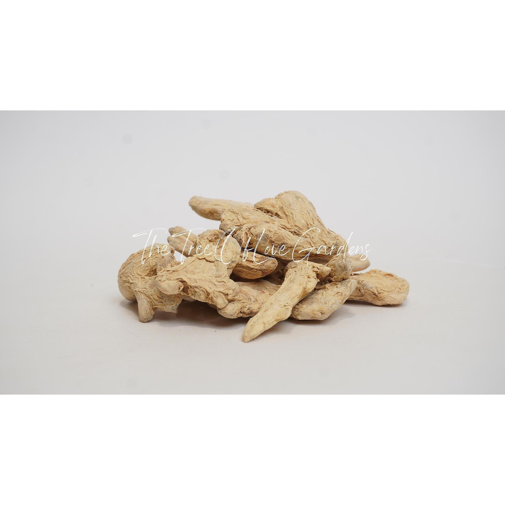 Ginger Root