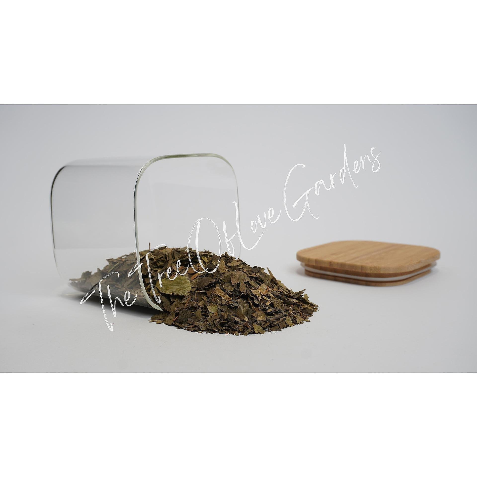 Ginkgo Biloba Leaf