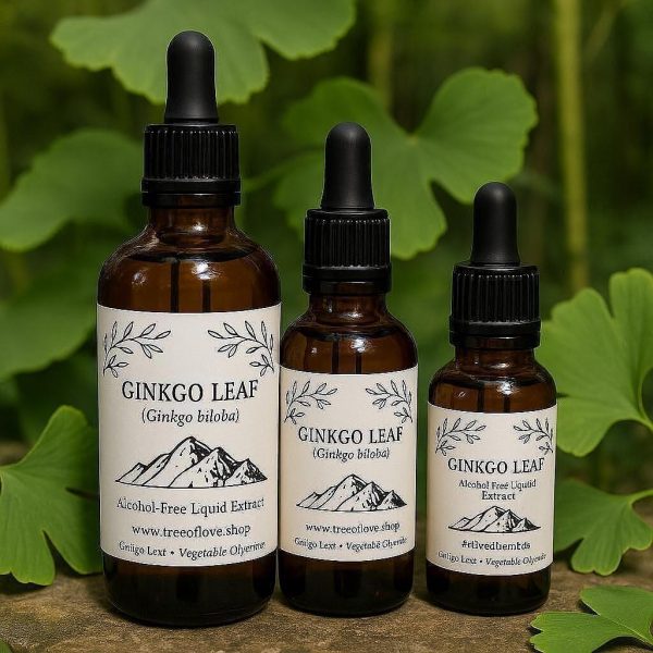 Ginkgo Leaf Glycerite