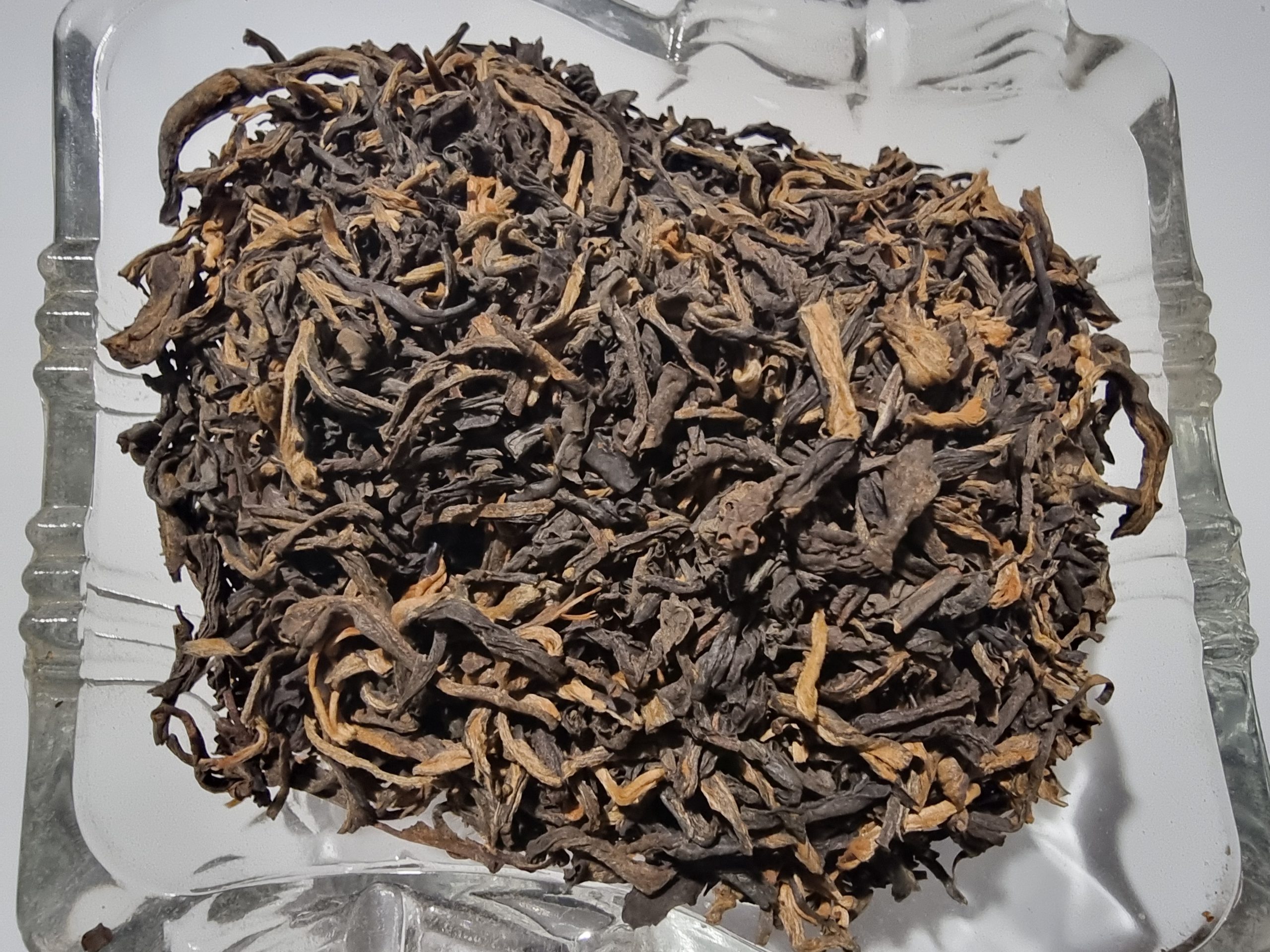 Golden Monkey Black Tea - Camellia sinensis