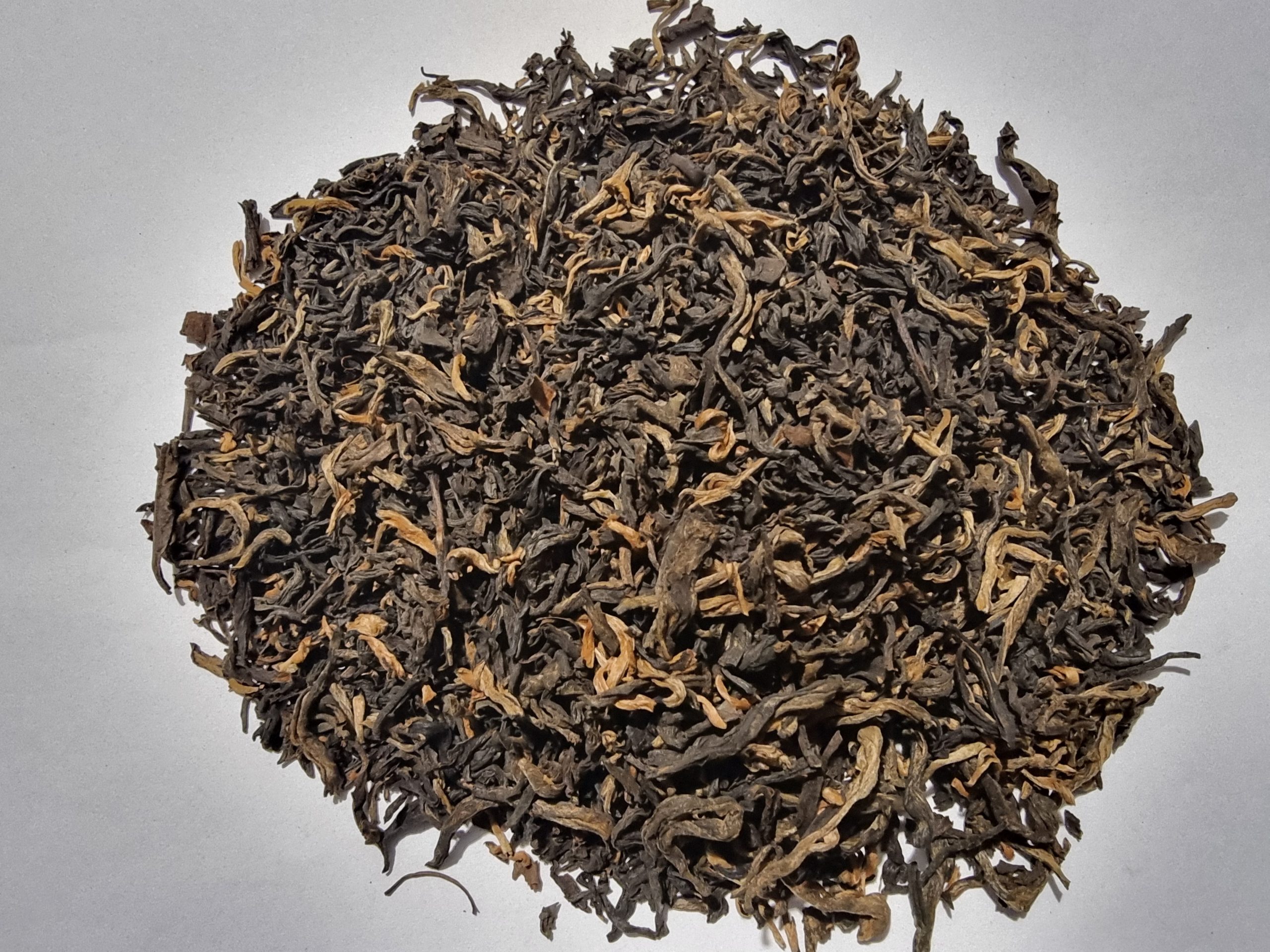 Golden Monkey Black Tea - Camellia sinensis