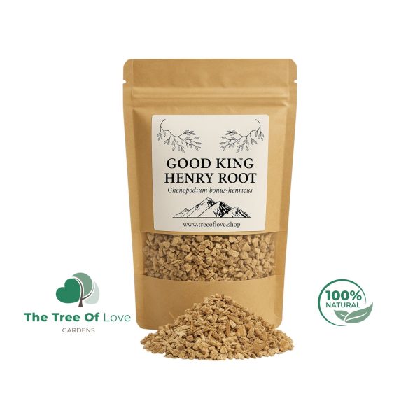 Good King Henry Root