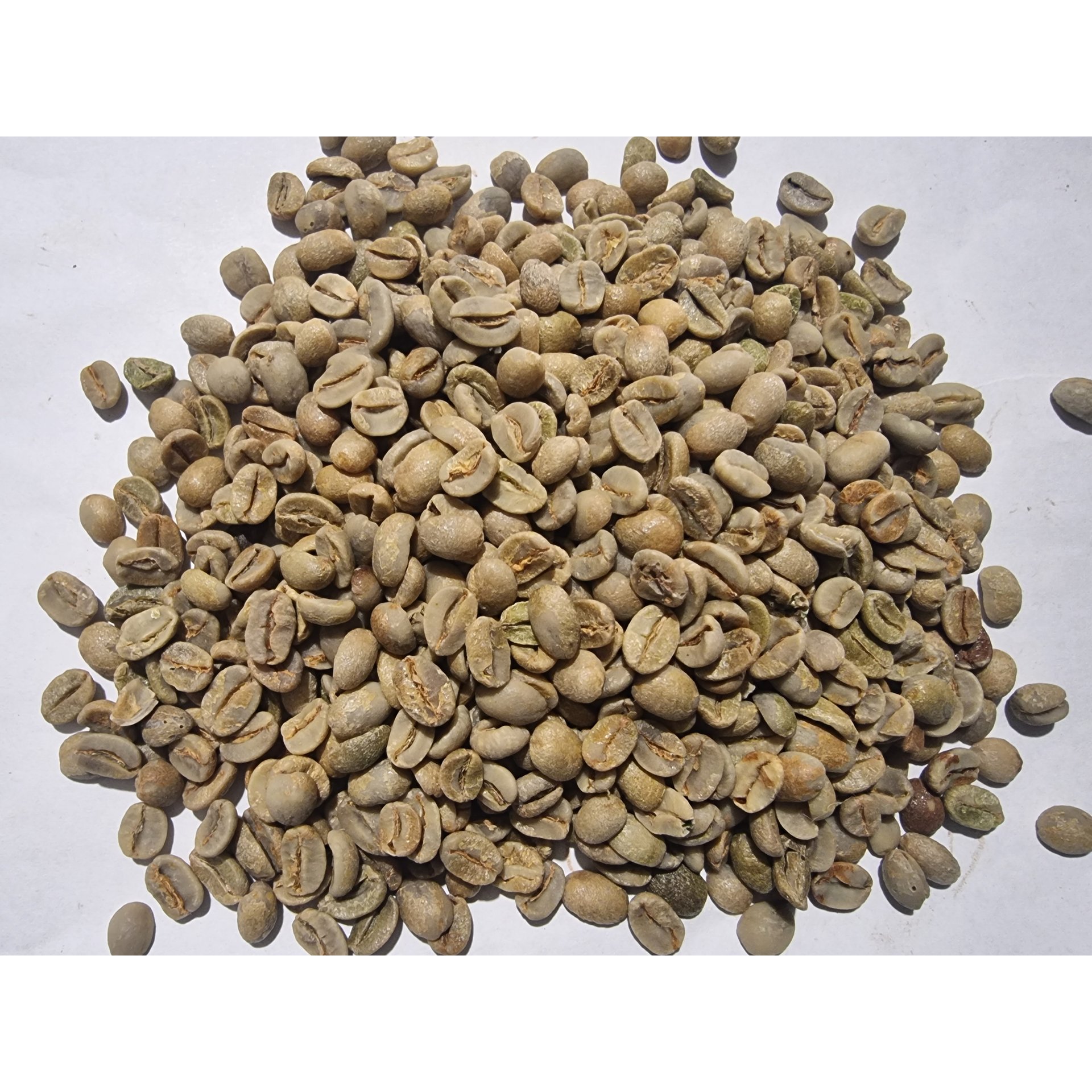 Green Coffee Beans 100% Arabica
