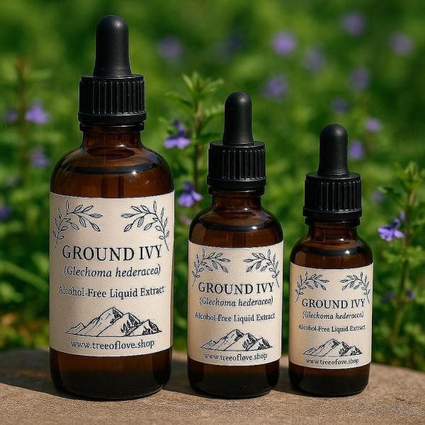 Ground Ivy Glycerite