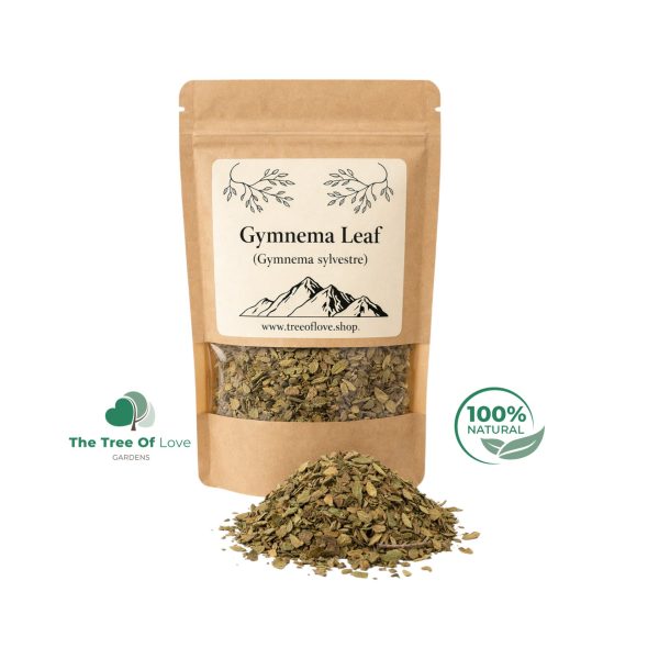 Gymnema Sylvestre