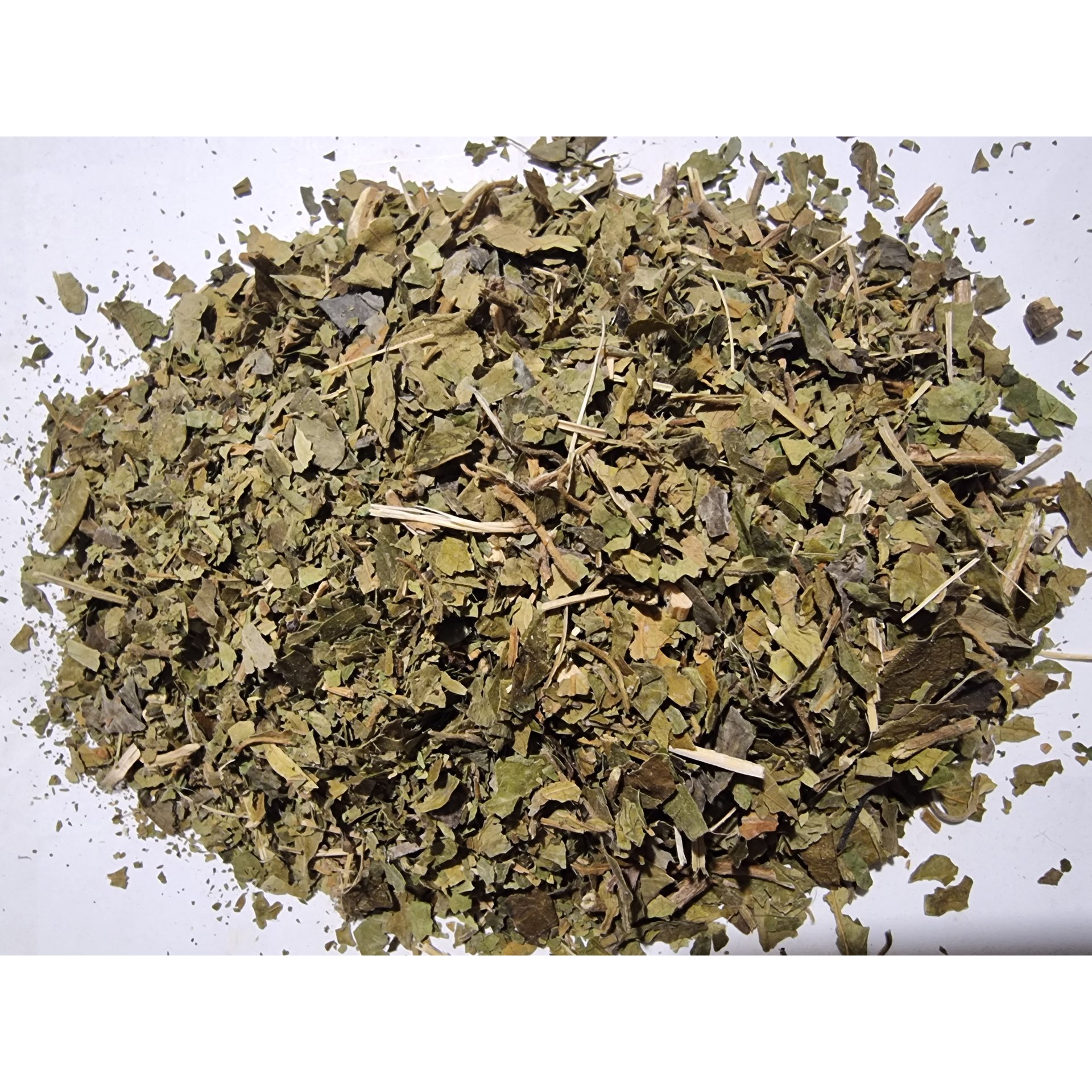 Gymnema Sylvestre