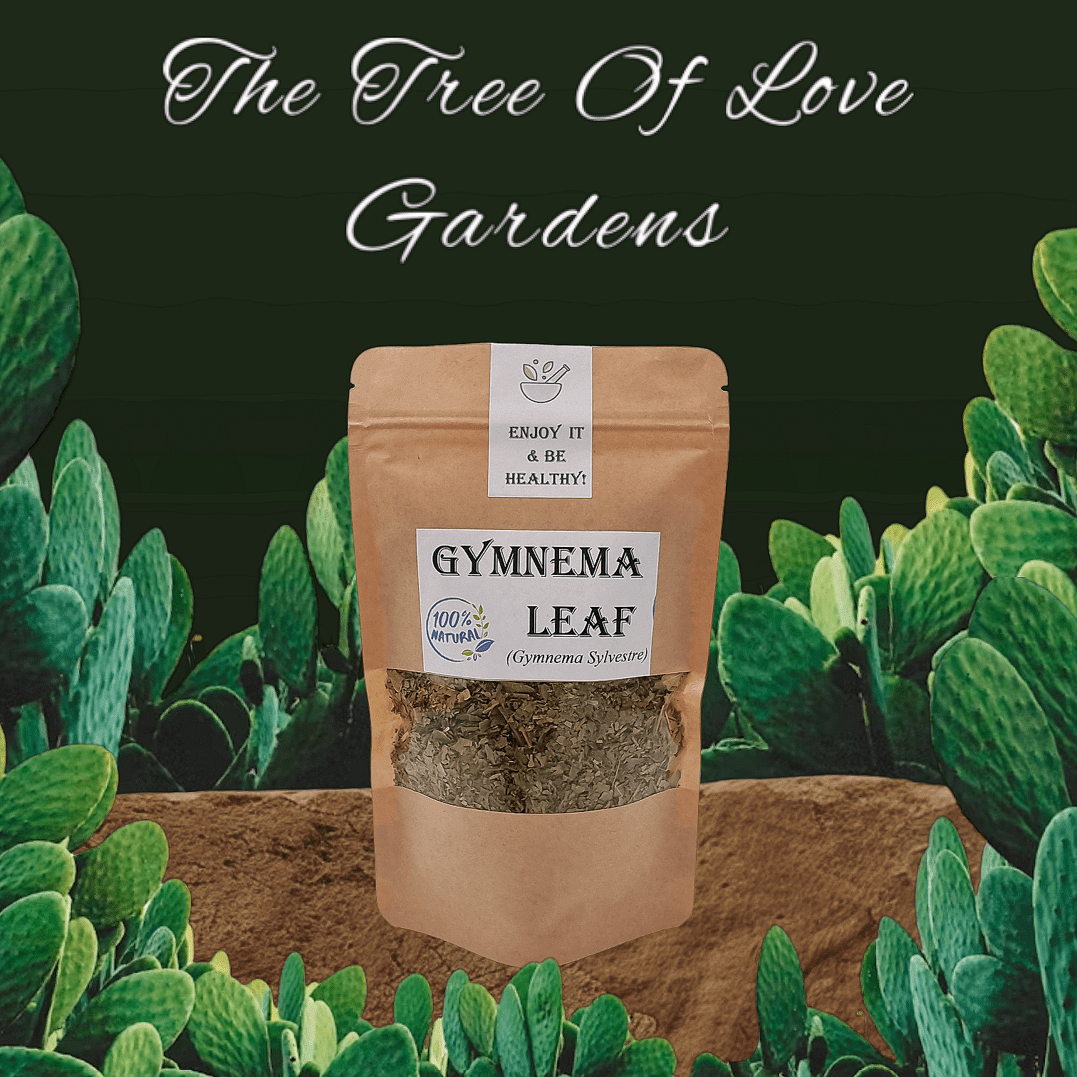 Gymnema Sylvestre