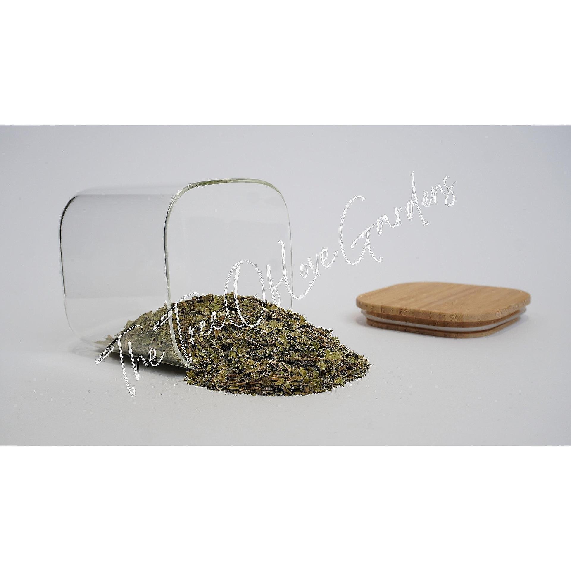 Gymnema Sylvestre Powder or Cuts