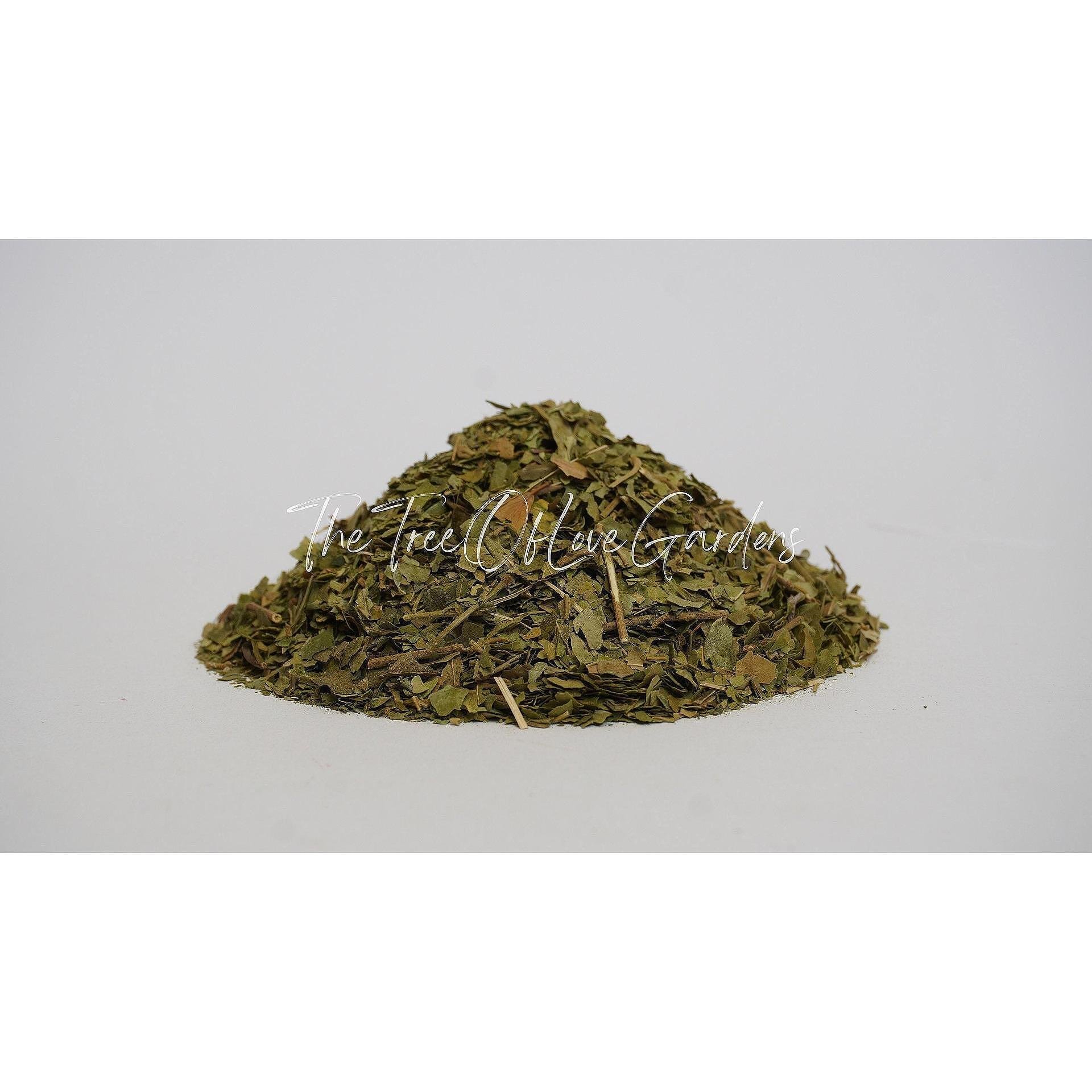Gymnema Sylvestre Powder or Cuts